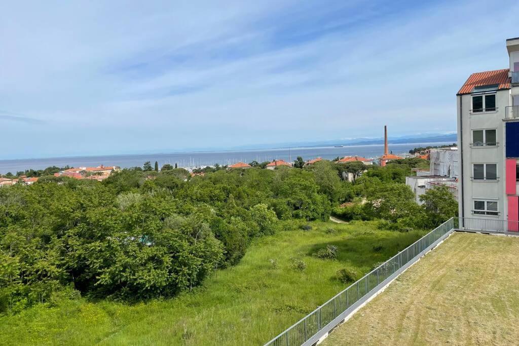 Apartment Gema - One bedroom apartment view 5