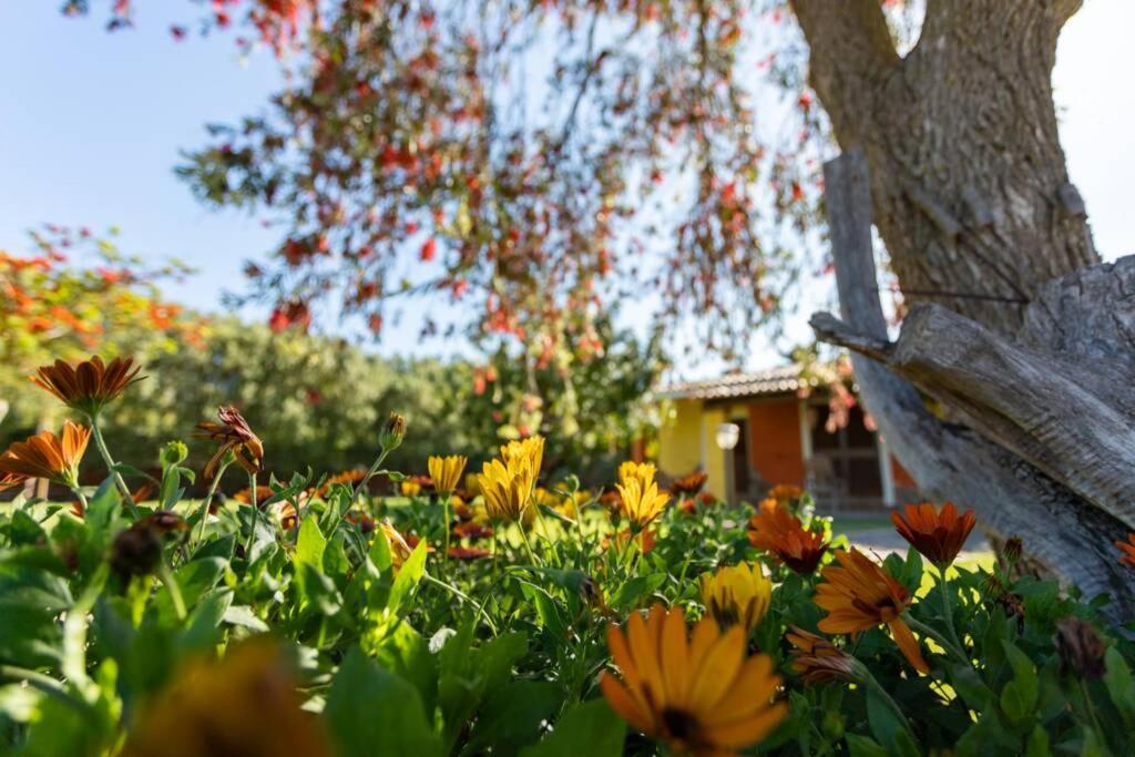 A charming country cottage + bikes and kayaks