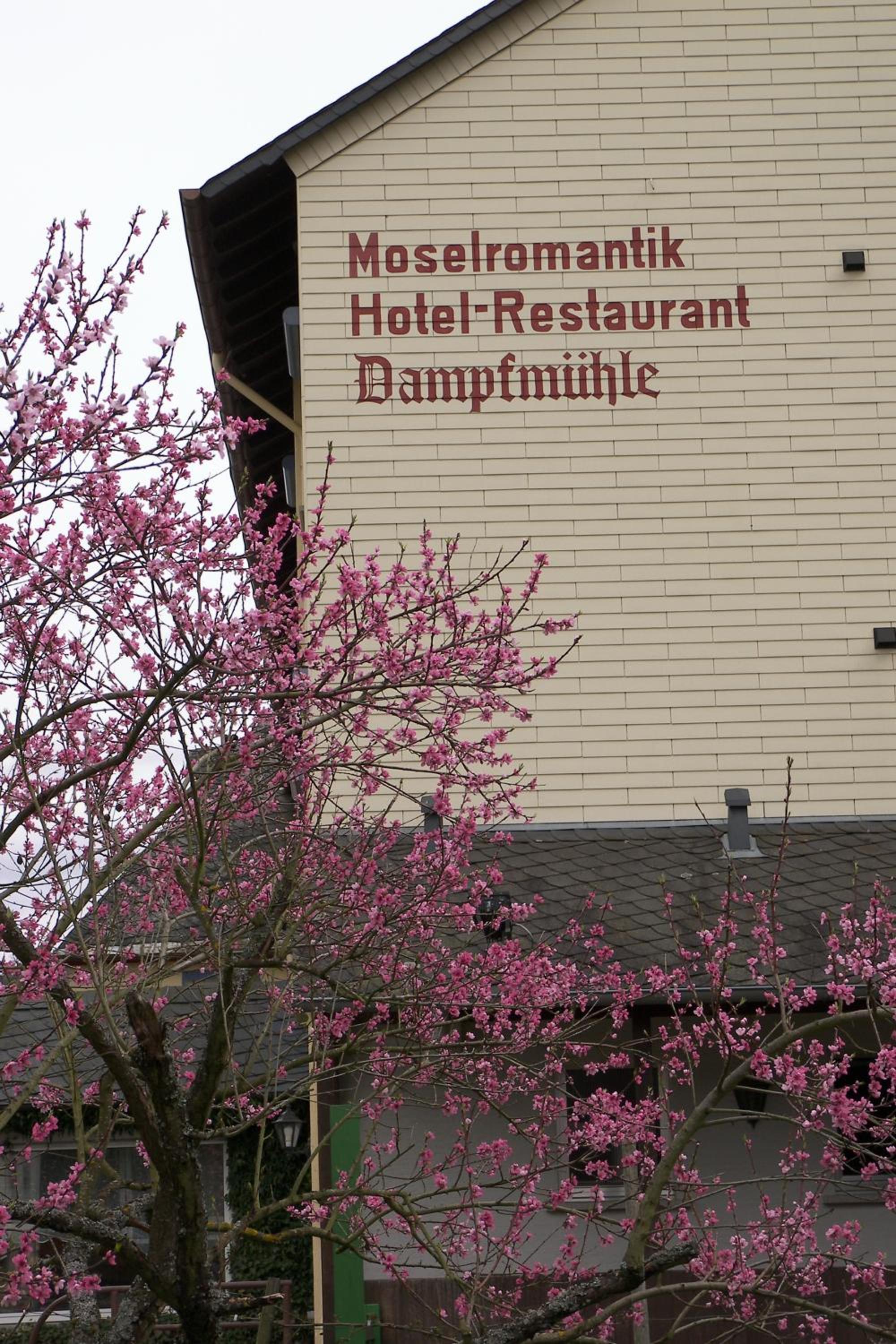Hotel Dampfmühle