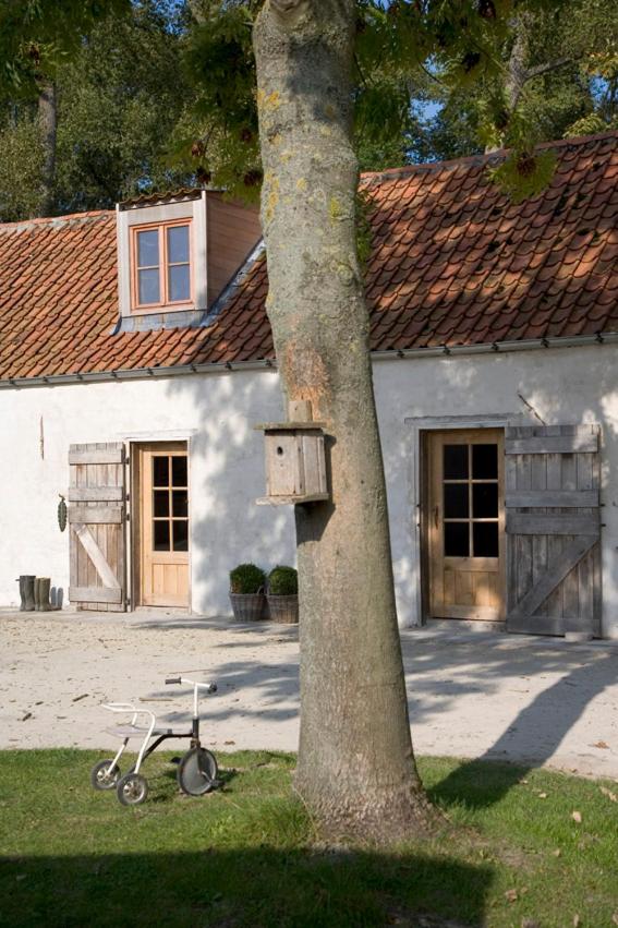 Photo 51