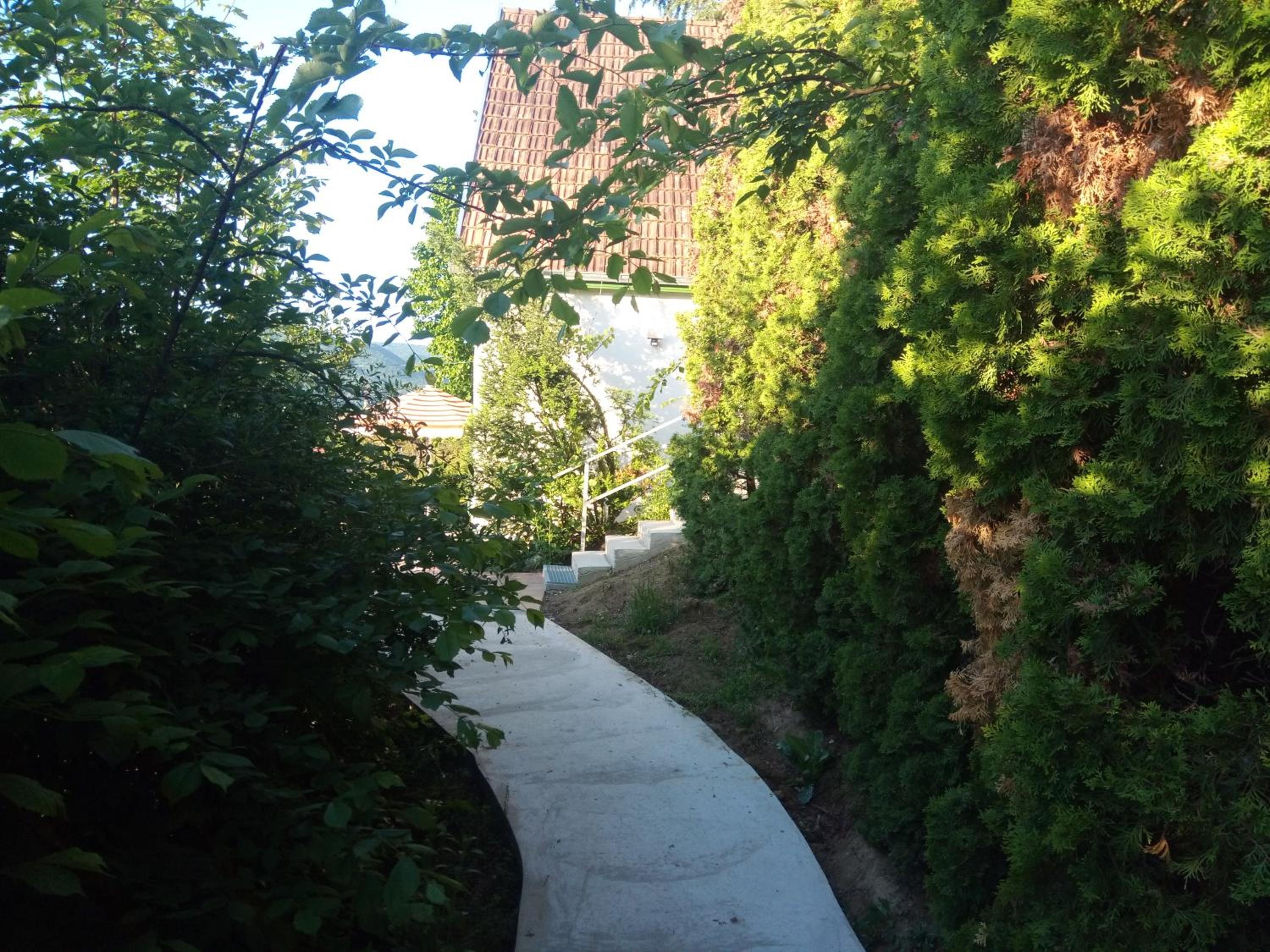 Photo 10