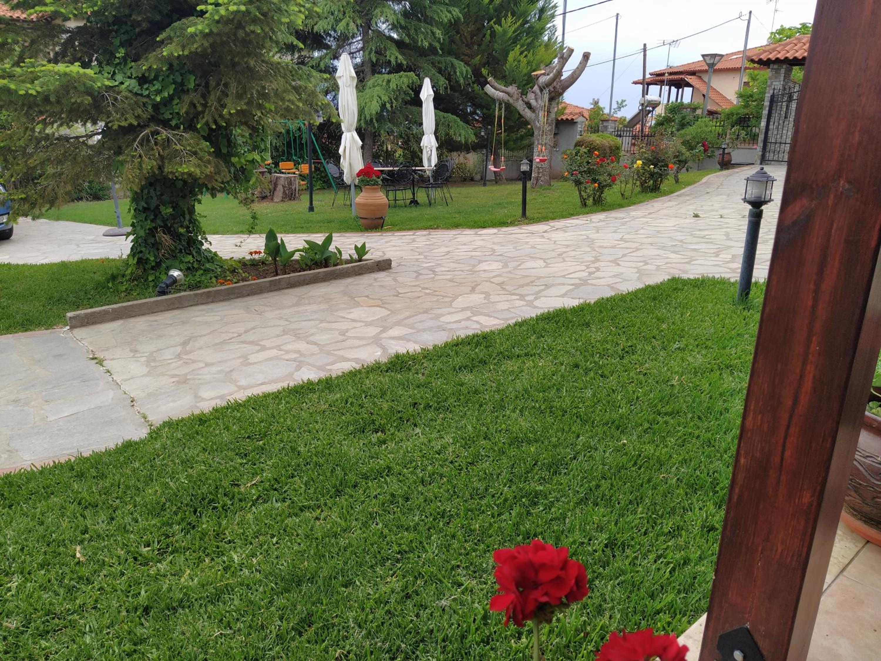 Photo 42