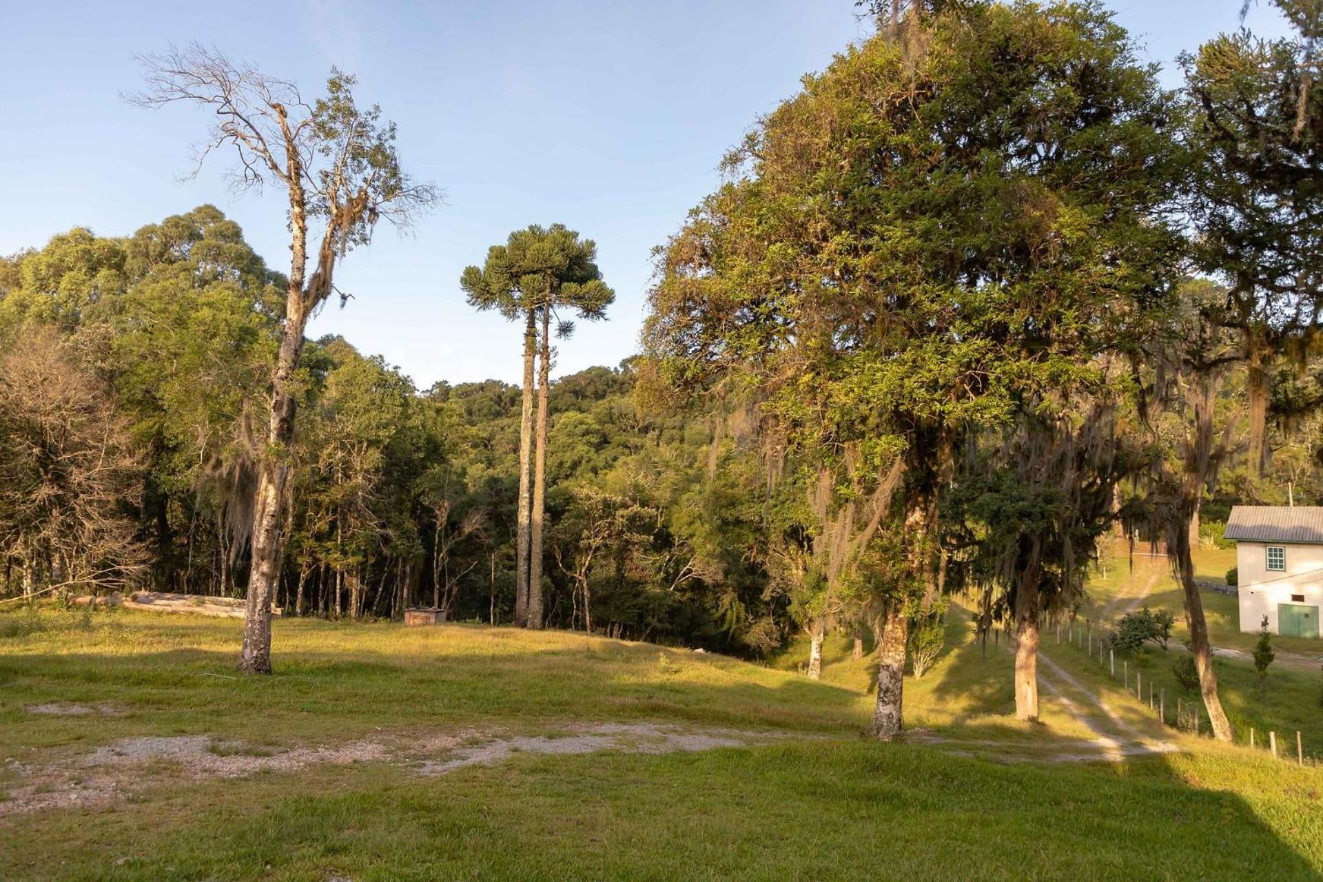 Locar-in Gramado - Chácara Bela Vista