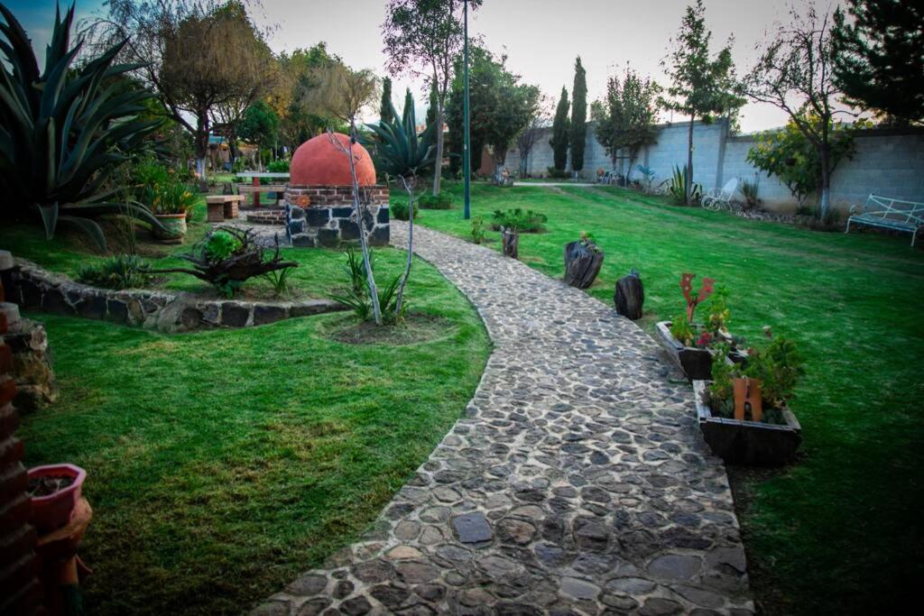 Photo 8
