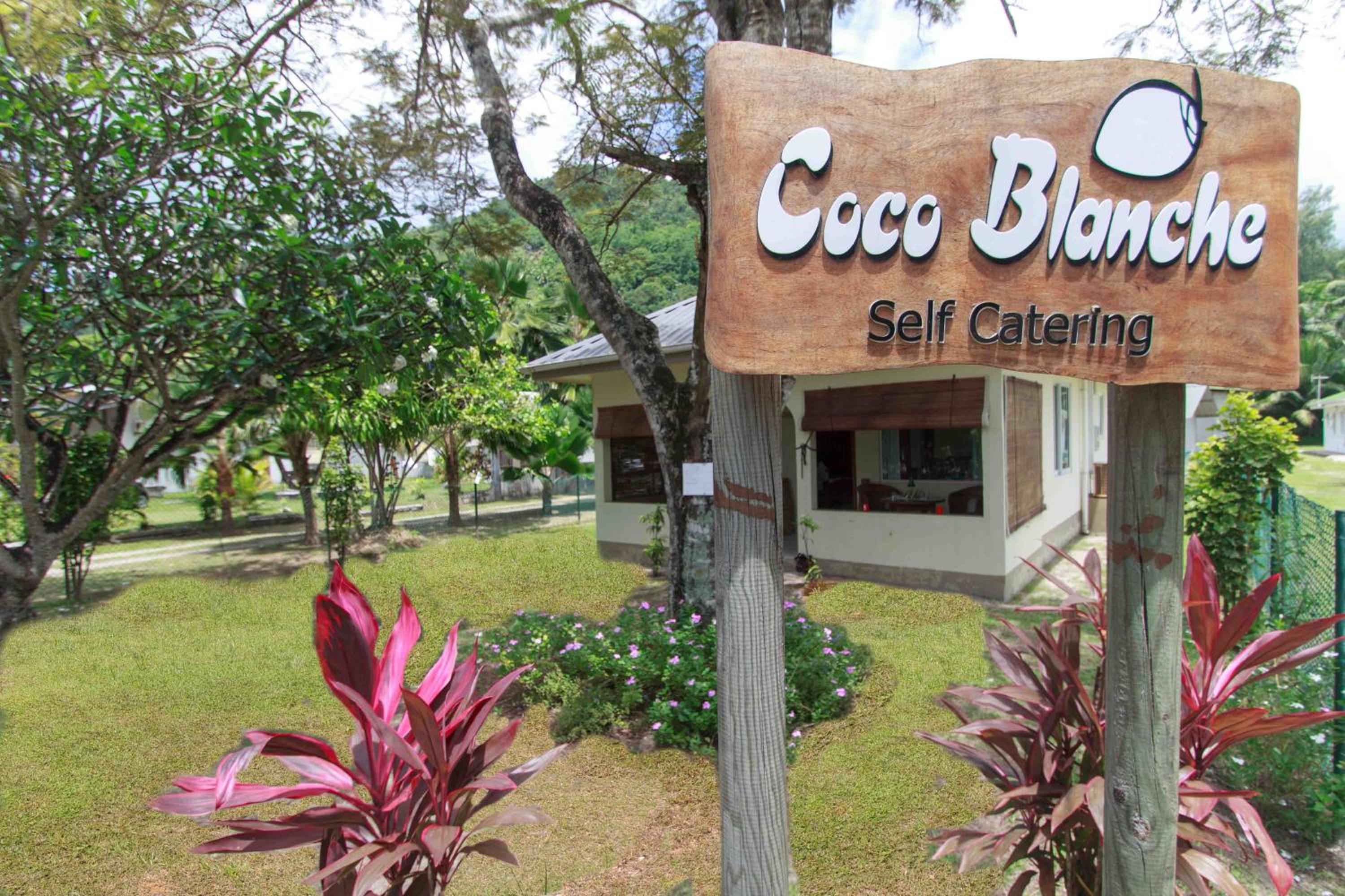 Coco Blanche photo 2