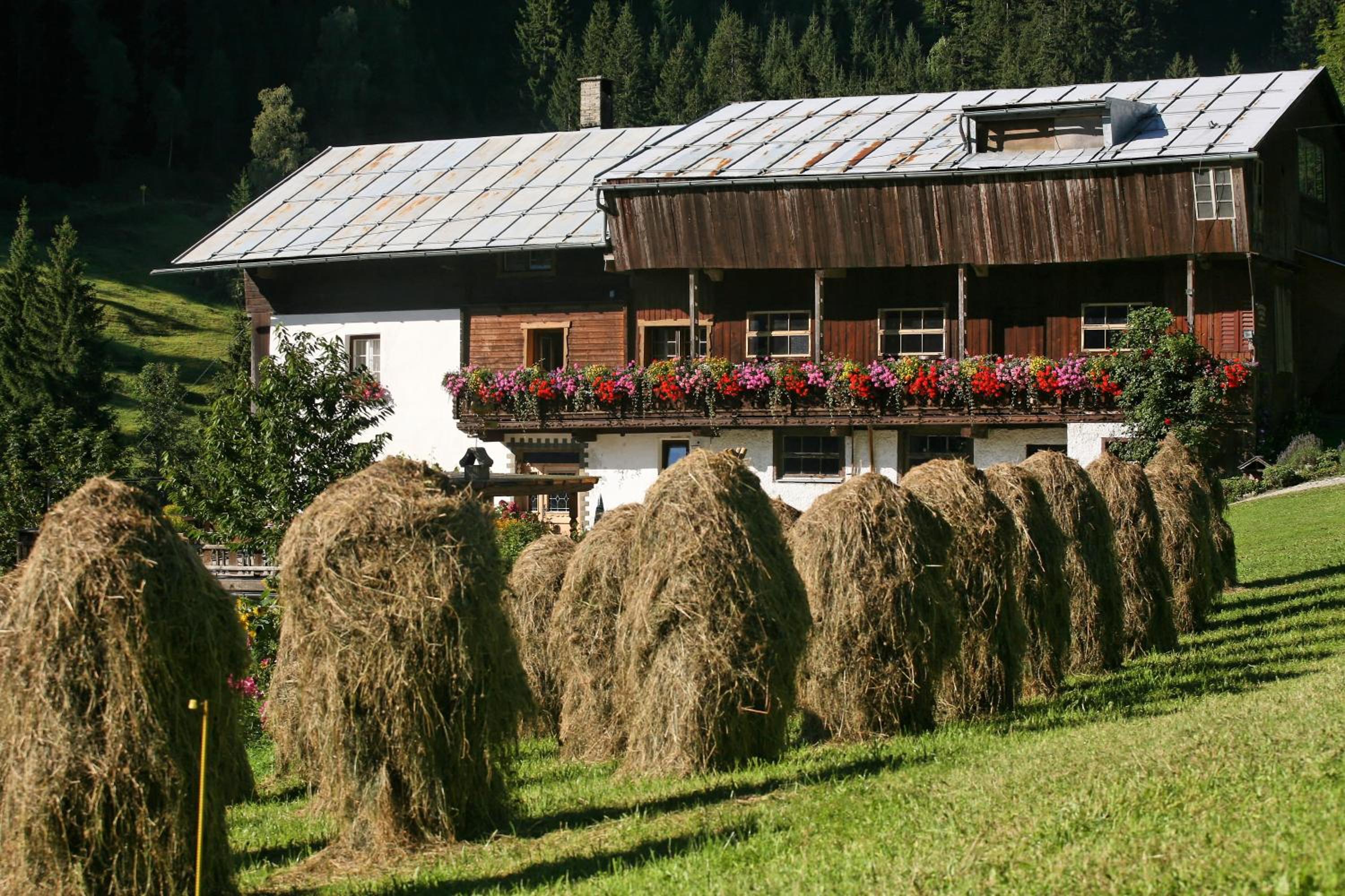 Bauernhof Pergila