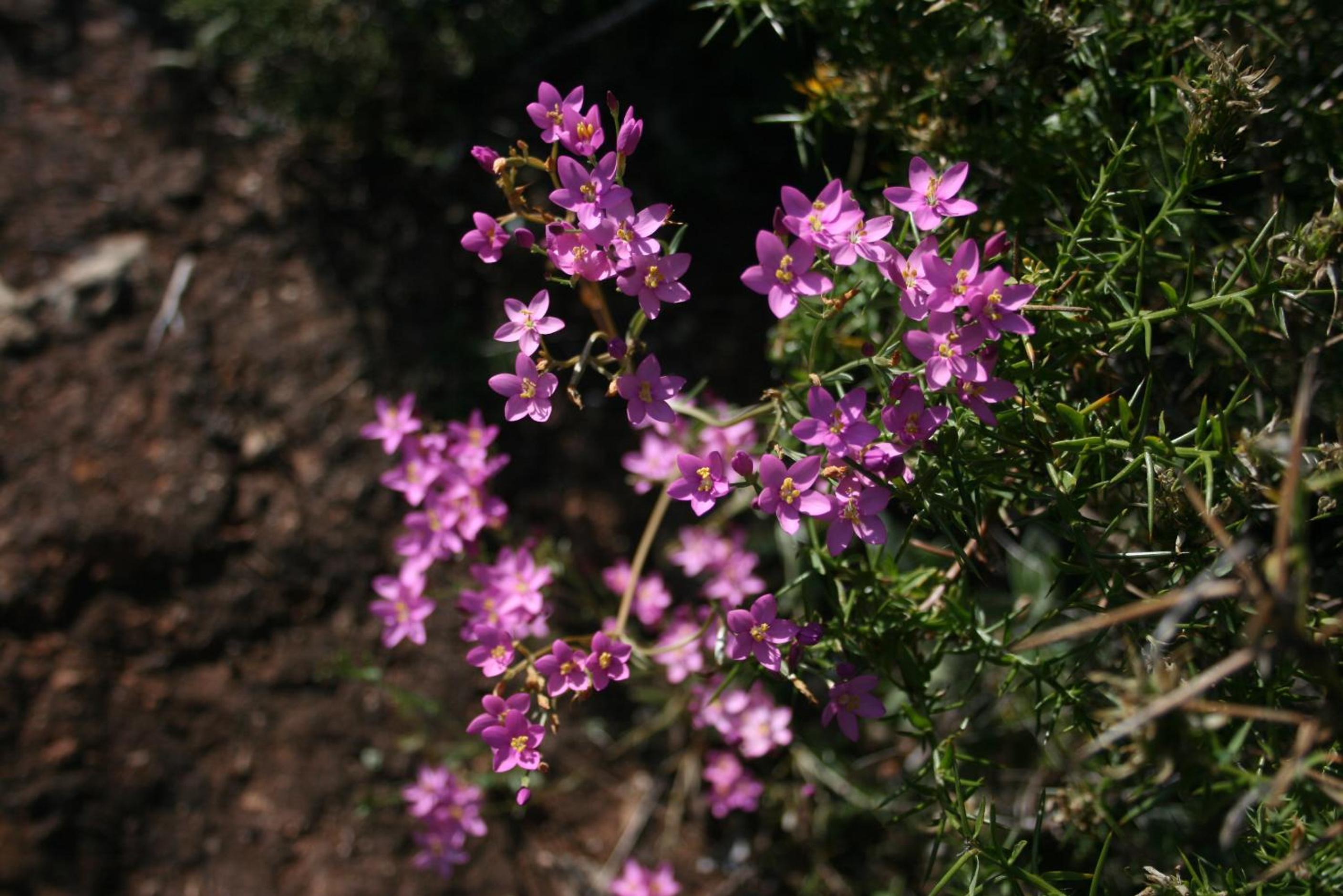 Photo 24