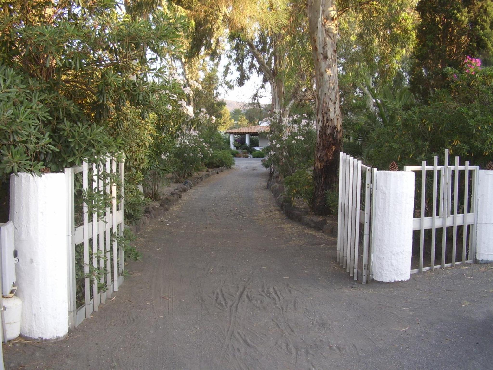 Photo 29