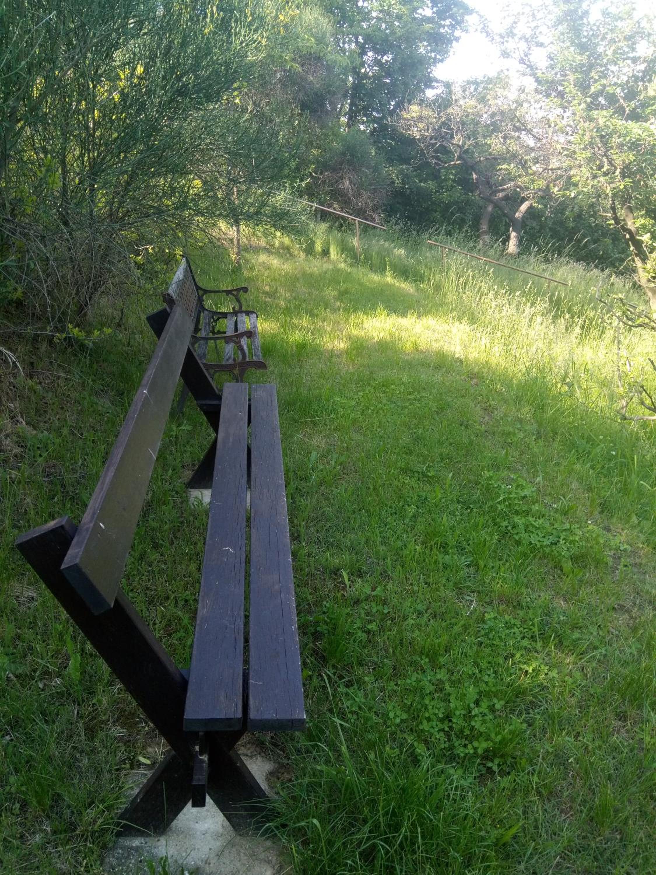 Photo 40