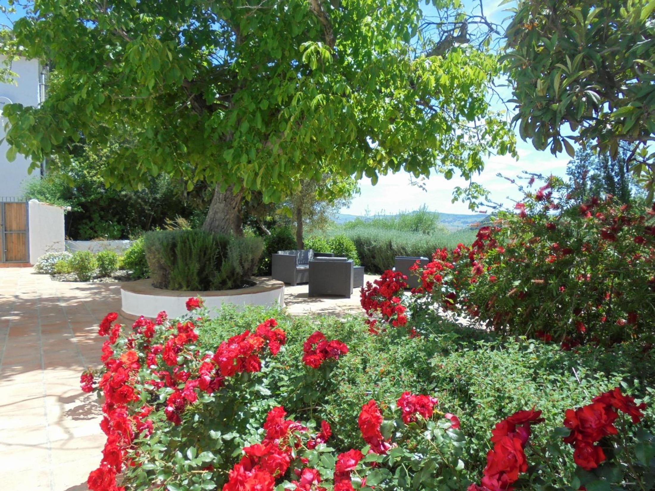 Betania view 3
