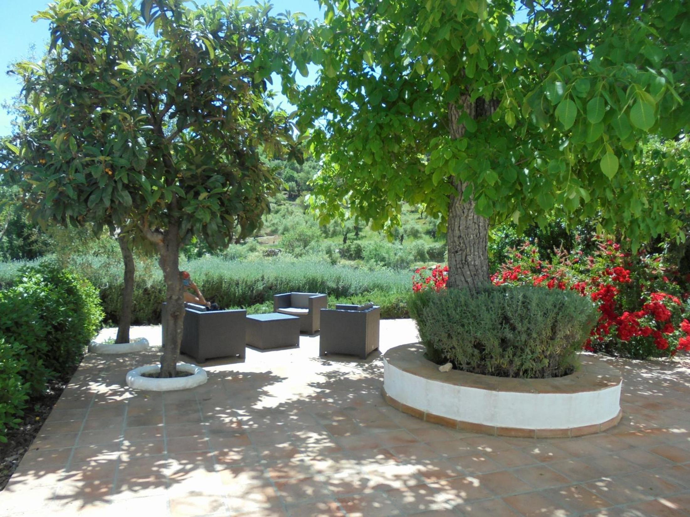 Betania view 4
