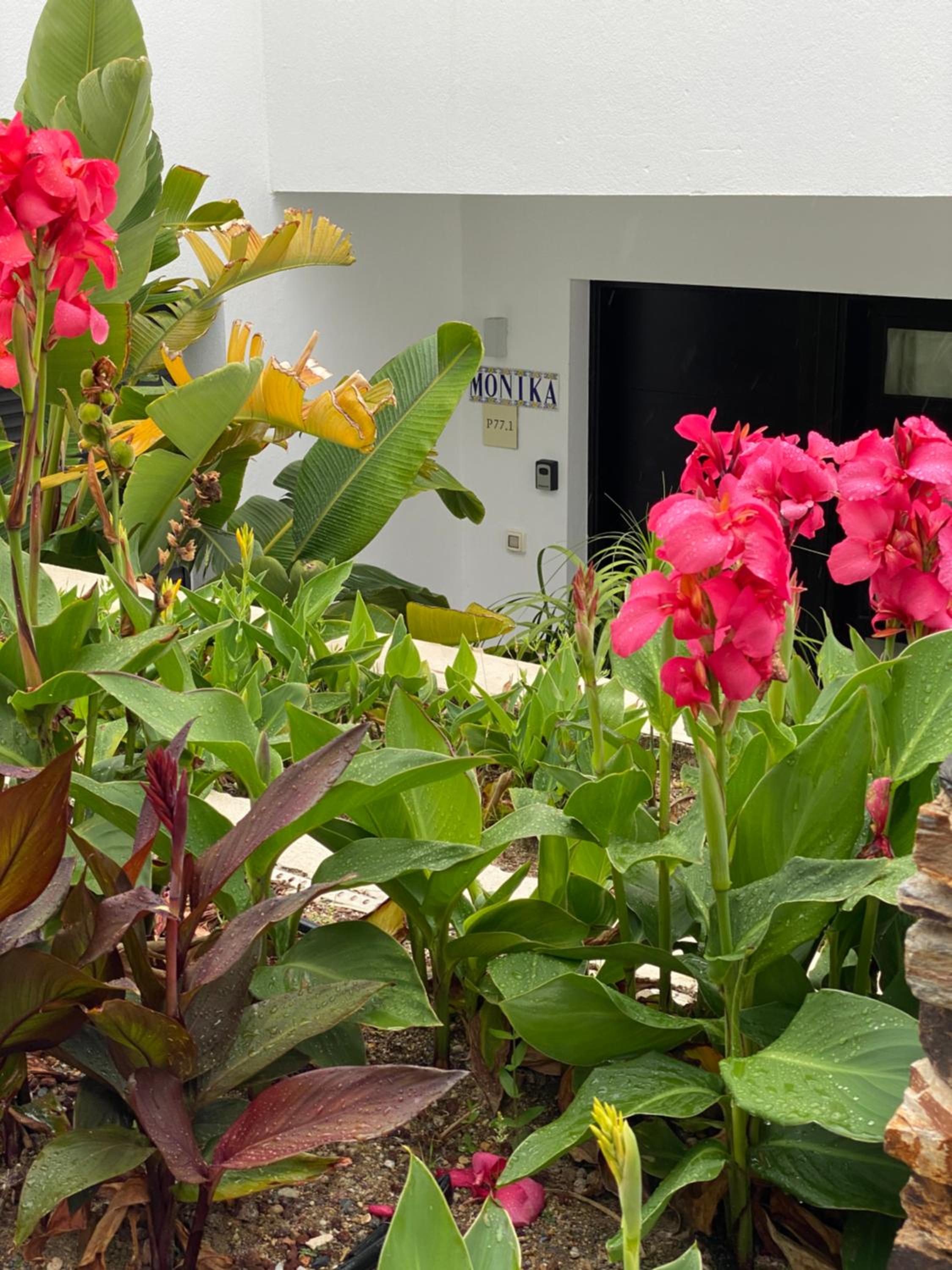 Monika Playa Macenas Mojacar photo 2