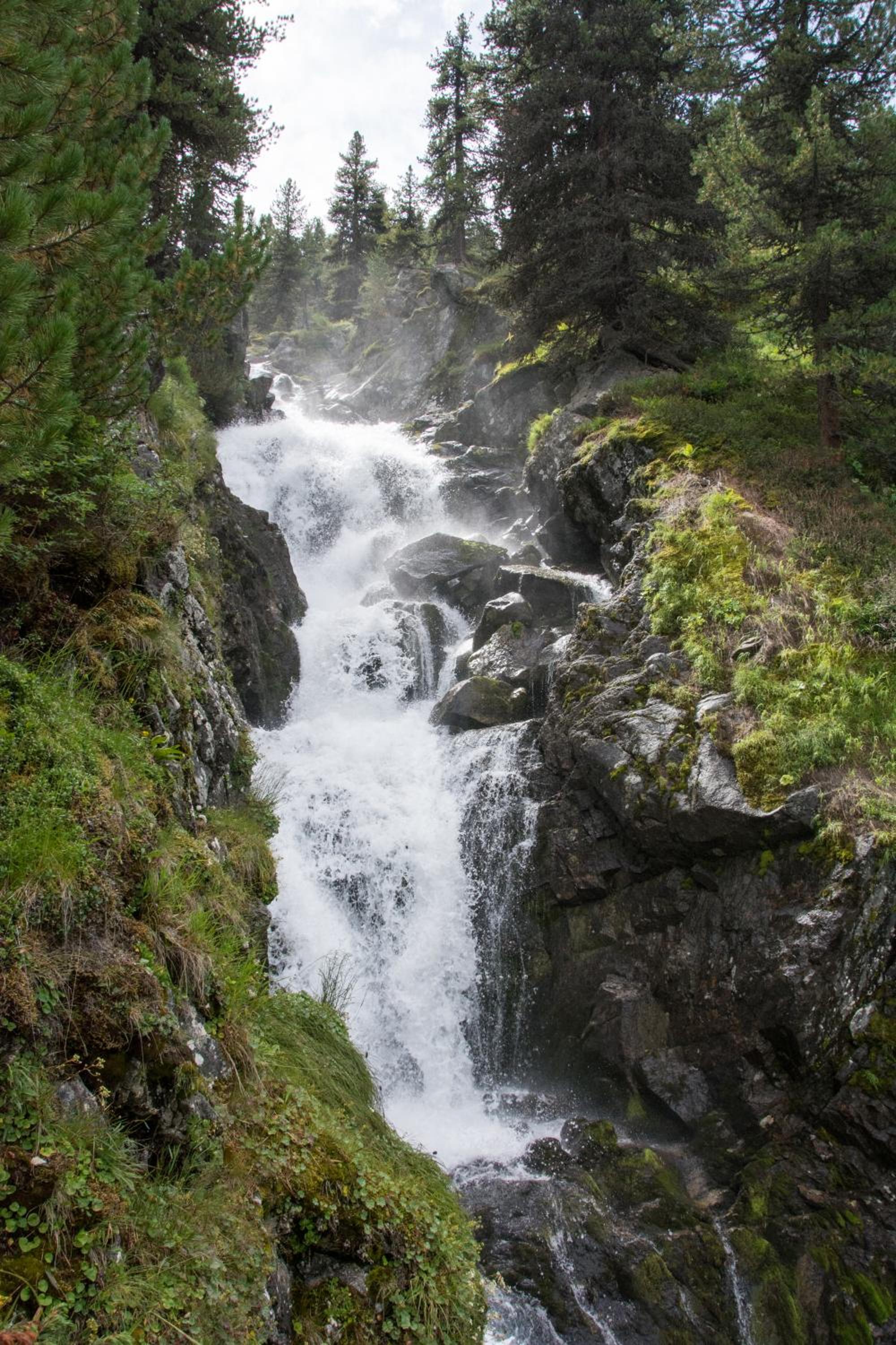 Photo 42
