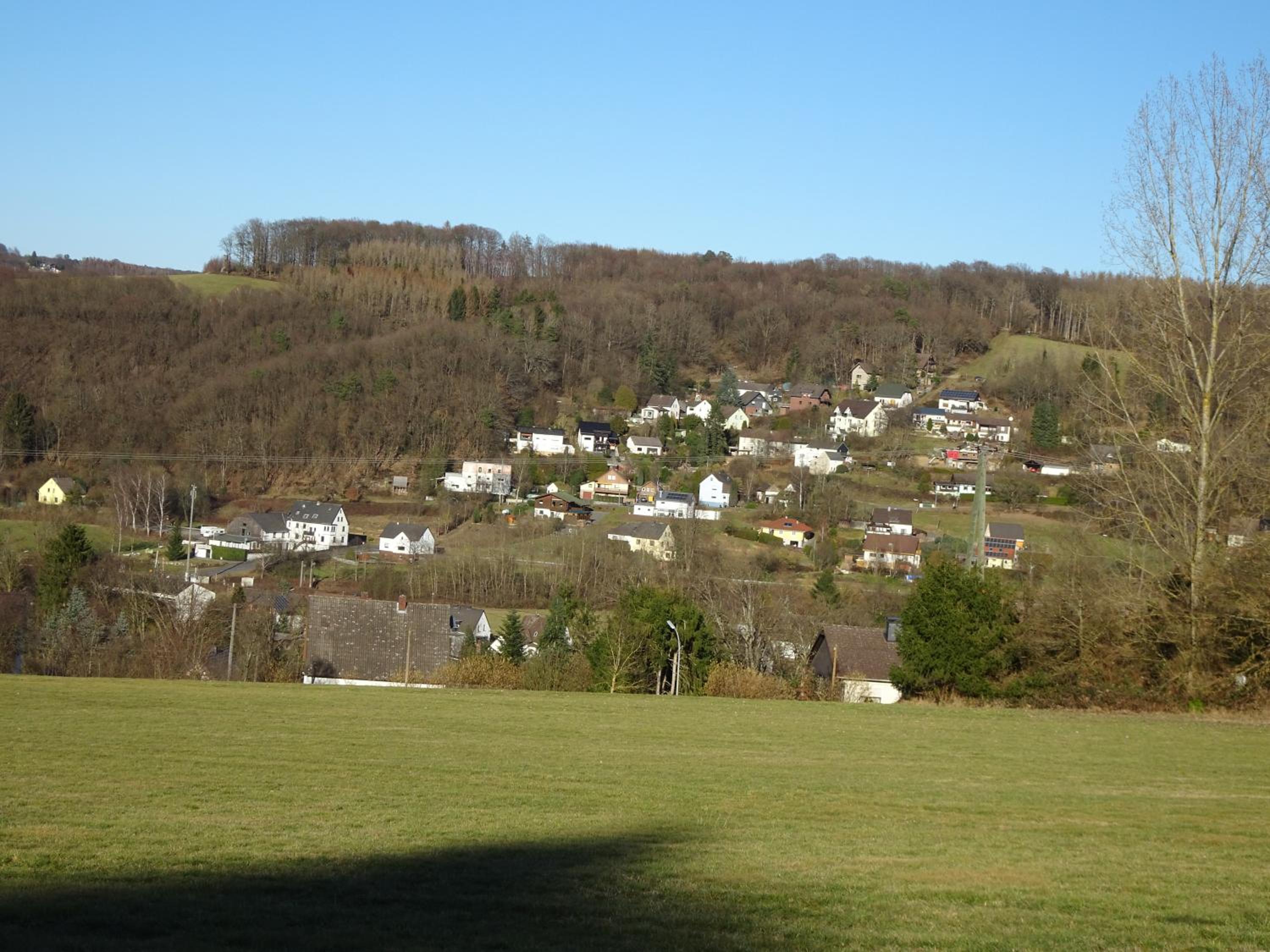 Photo 21
