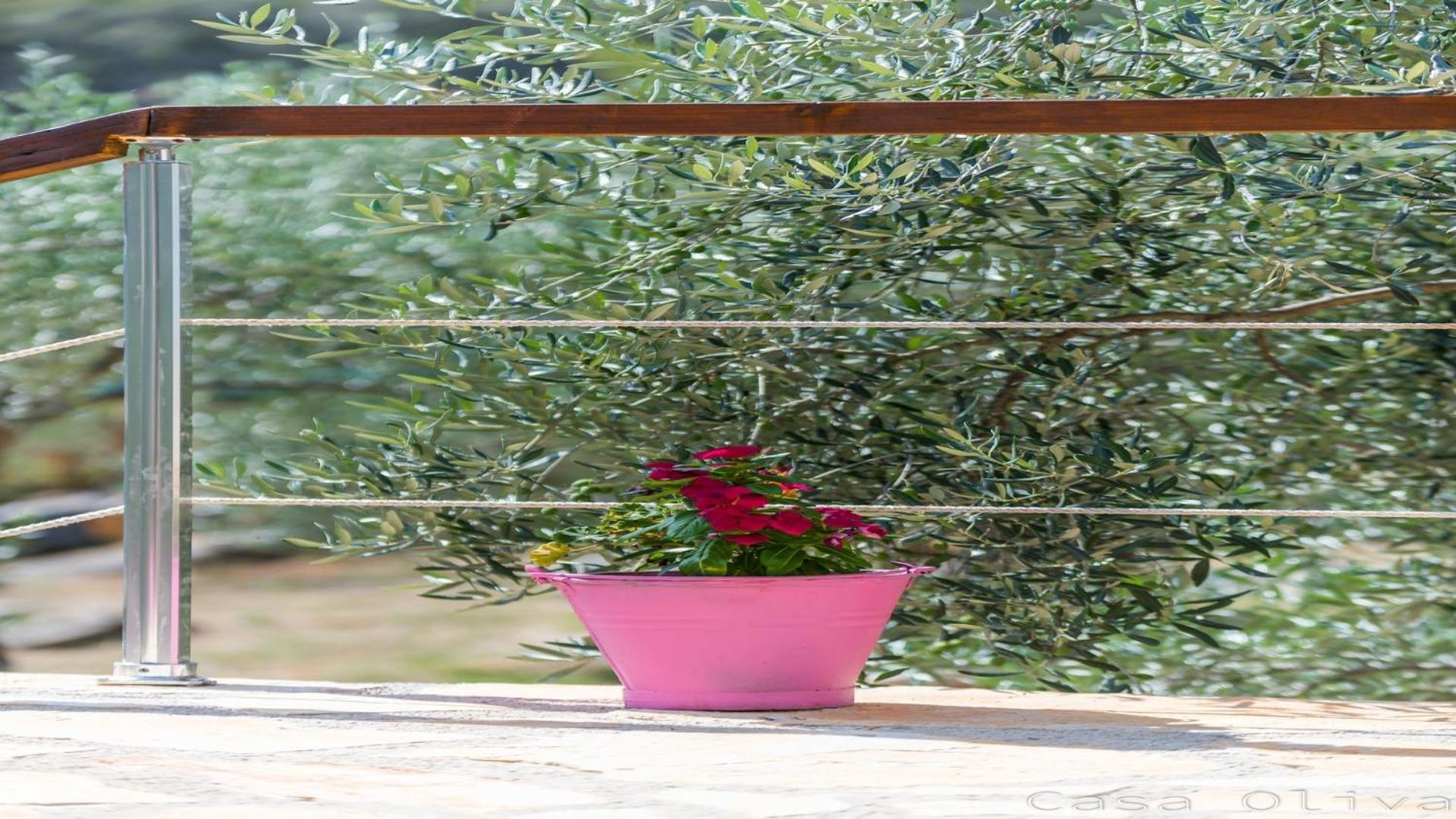 Holiday Home Casa Oliva II
