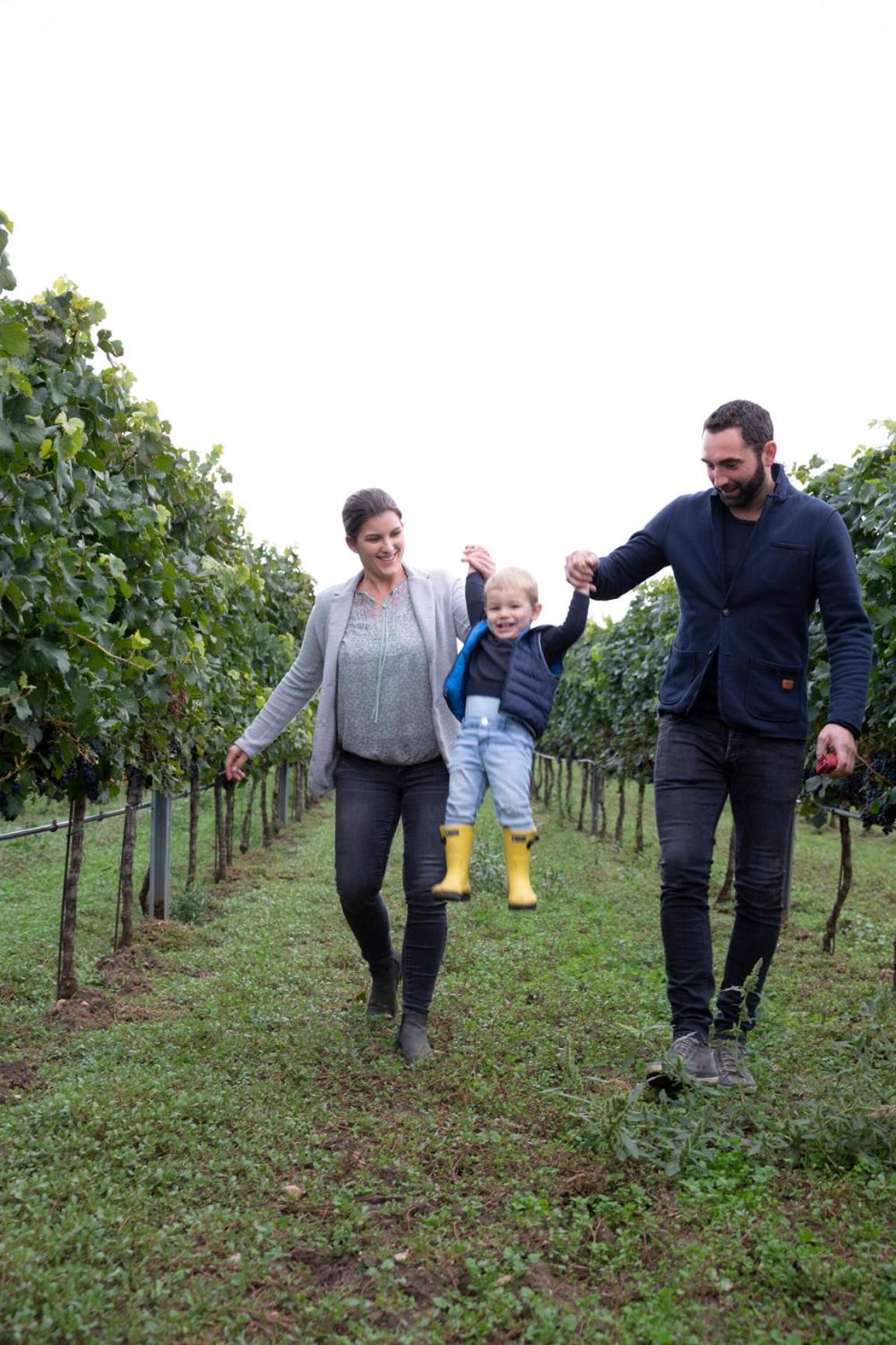 Weingut-Ferienwohnung Münzenrieder