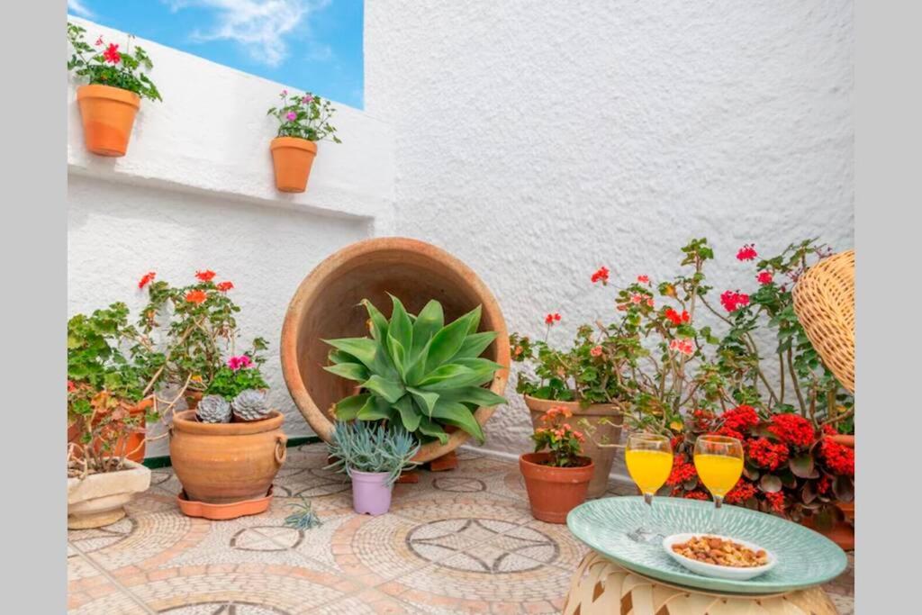 Villa Zalea Real -SUPER ideal Grupos, Piscina ! photo 5