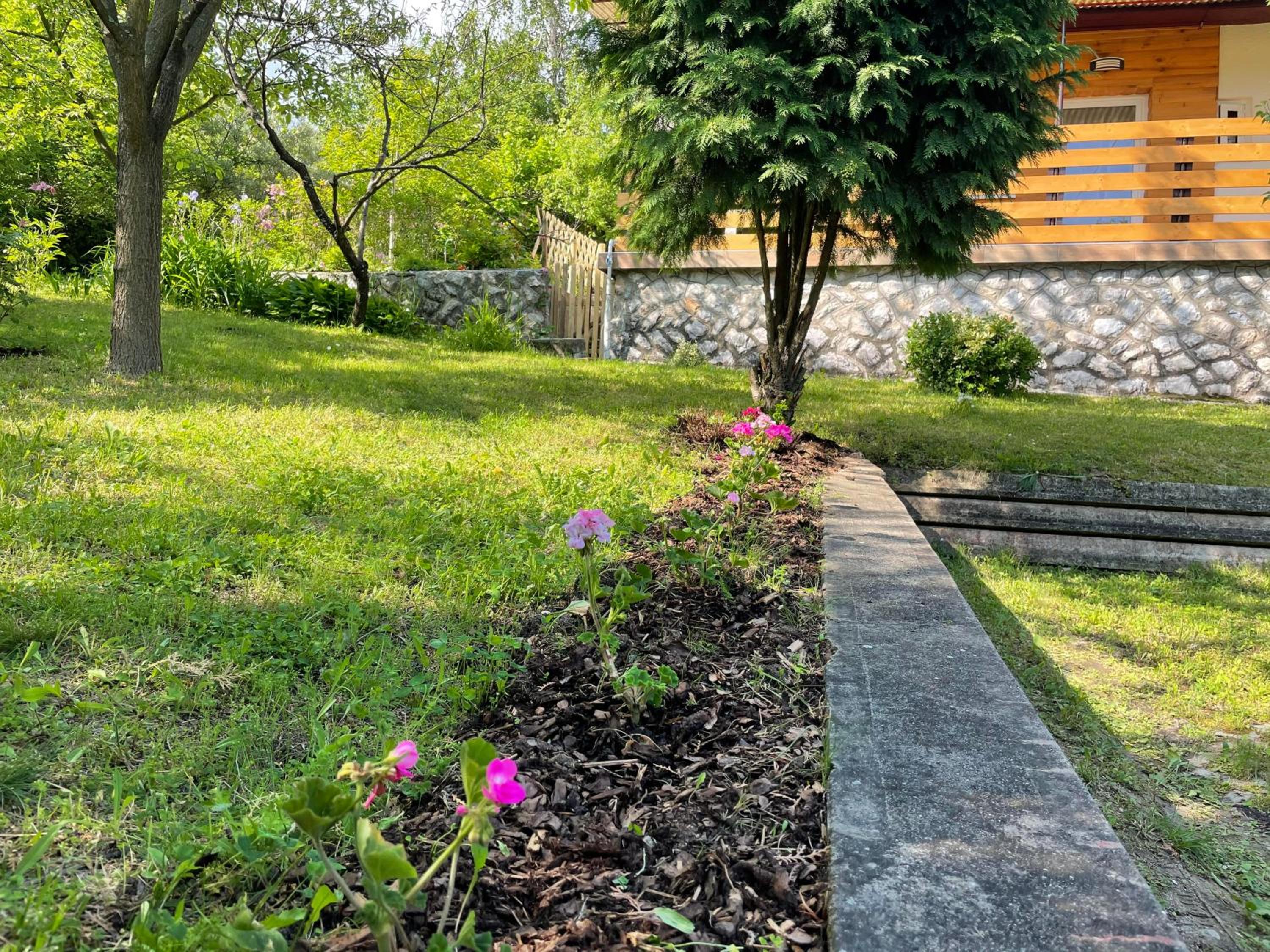 Photo 16