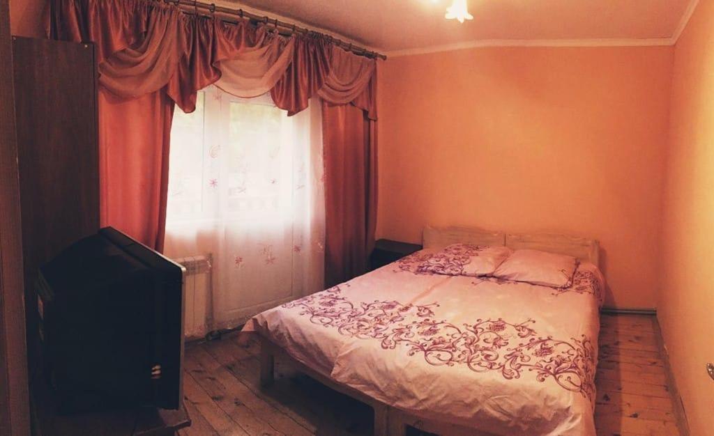 Карпатський будинок view 4