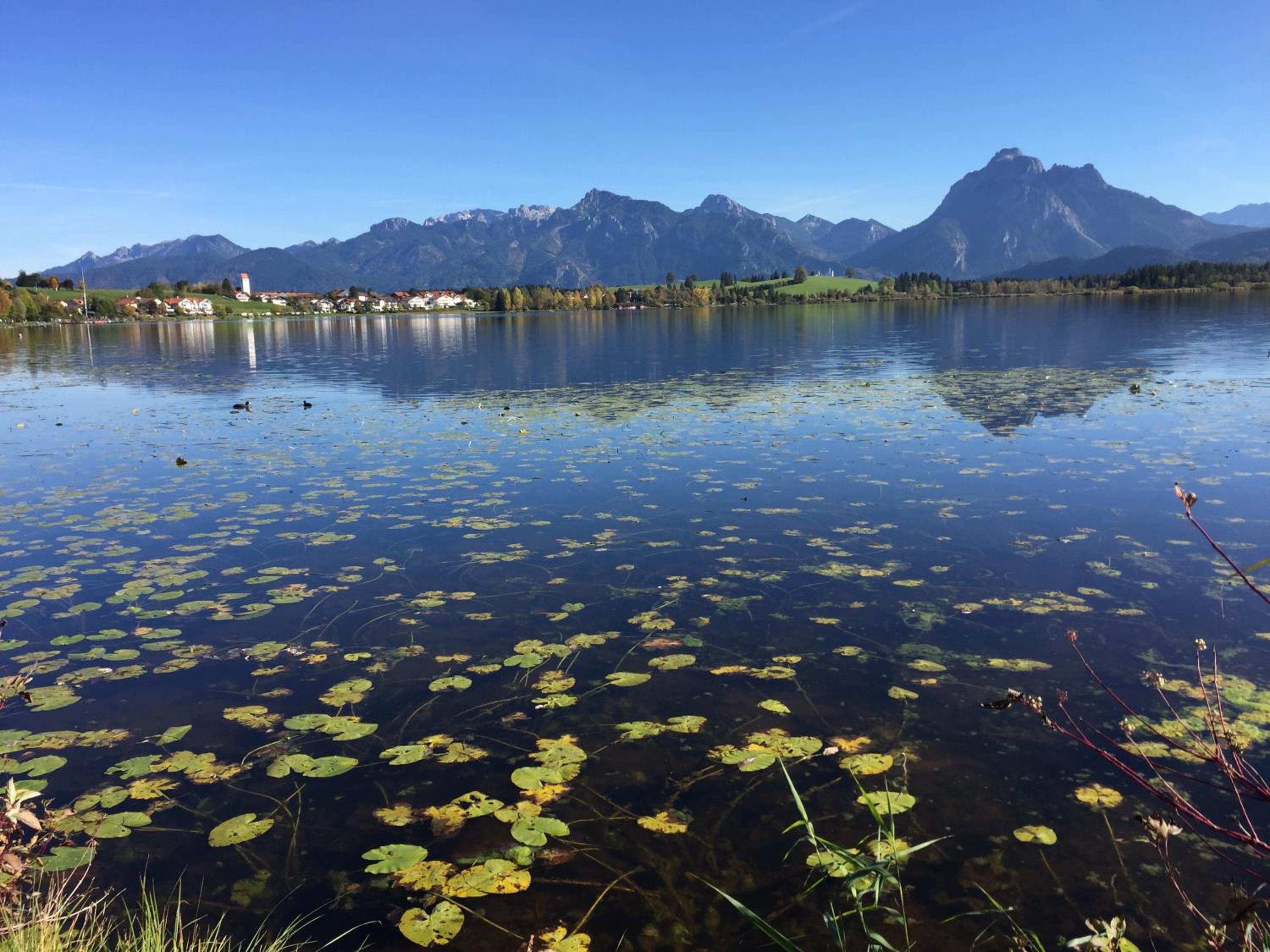 Ferienhaus Lieblingsplatz-Füssen - stilvoll urlauben & wohnen