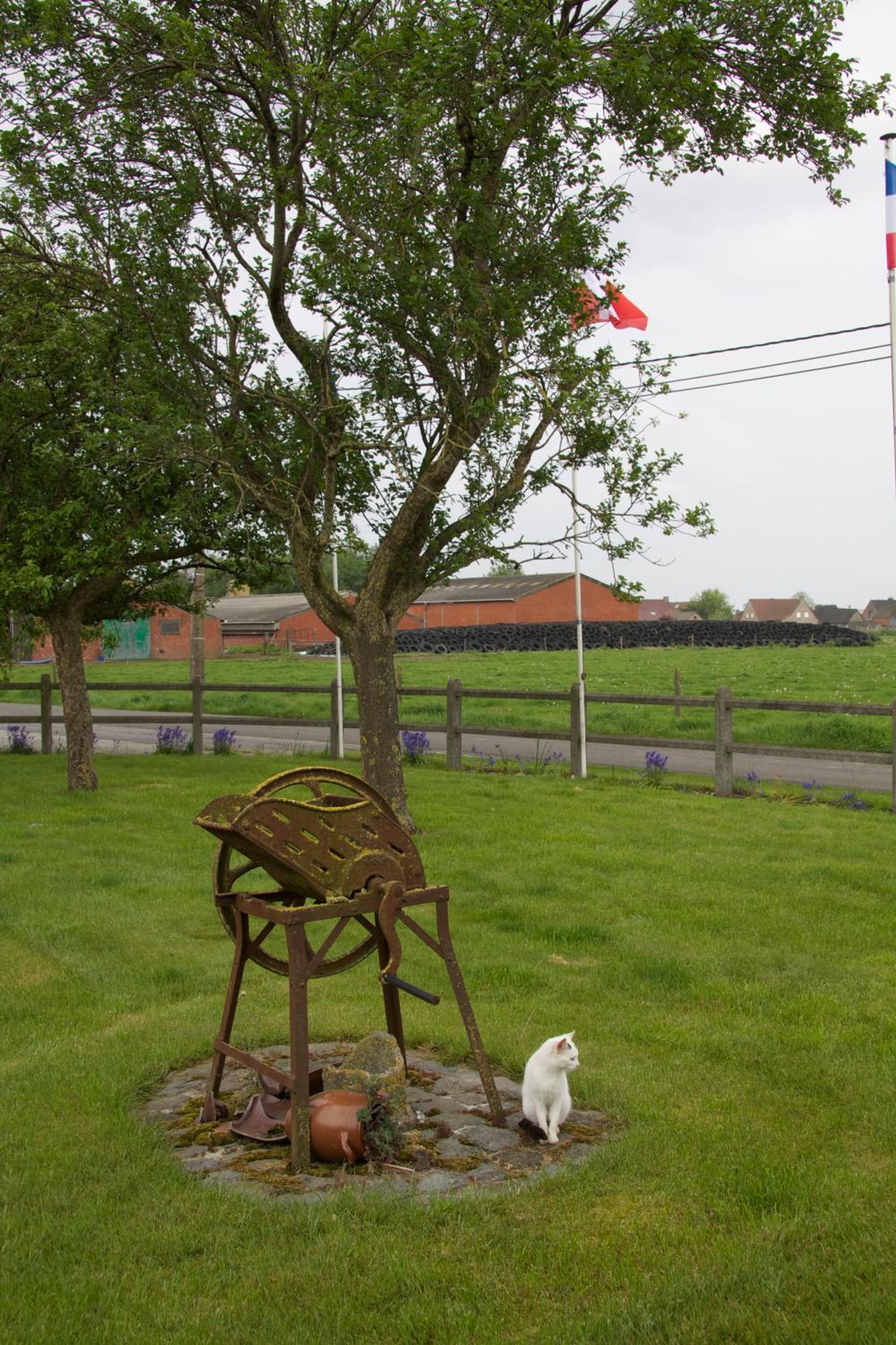 Breeden Steeger Hoeve