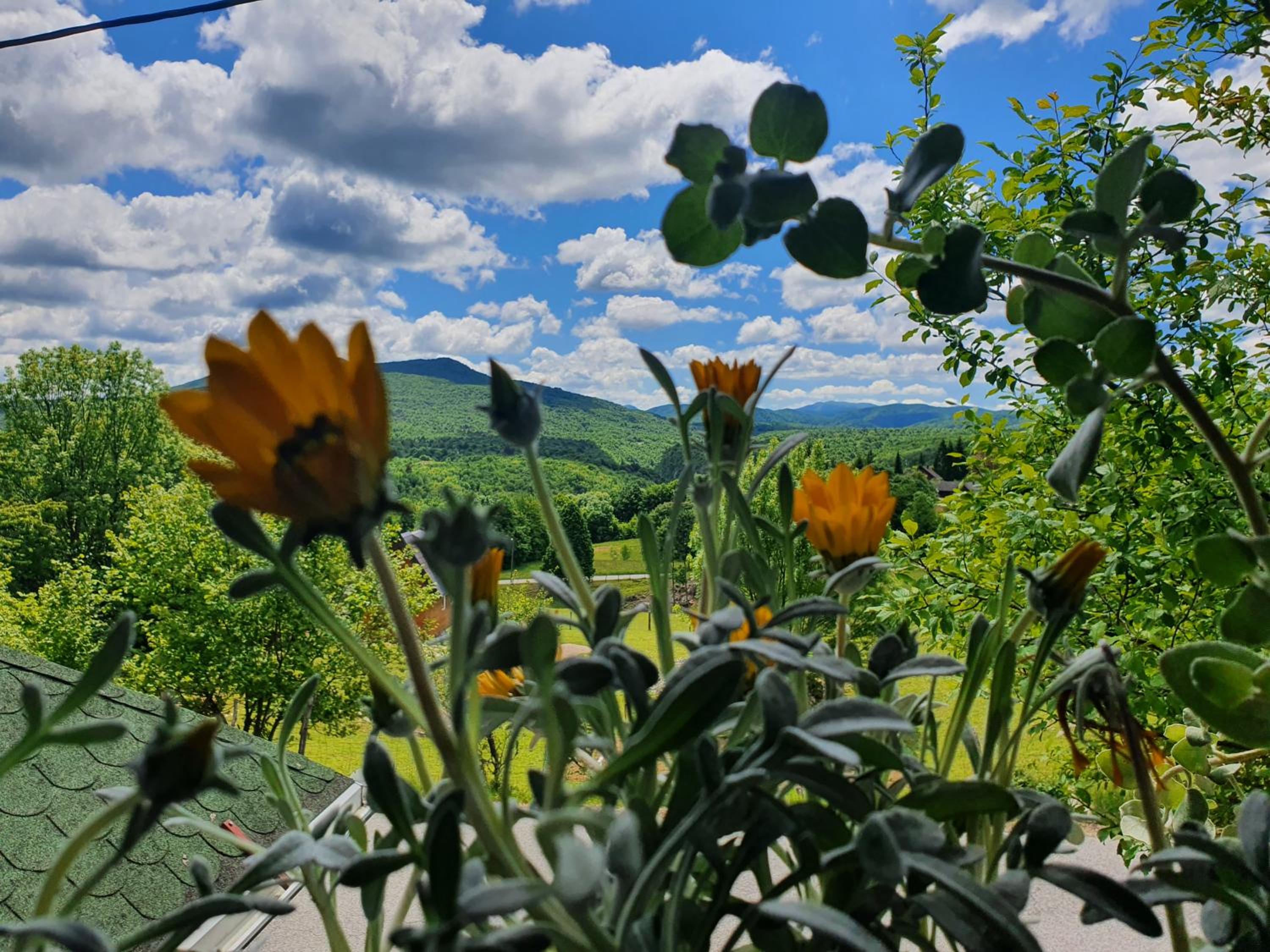 Guest House Štefanija
