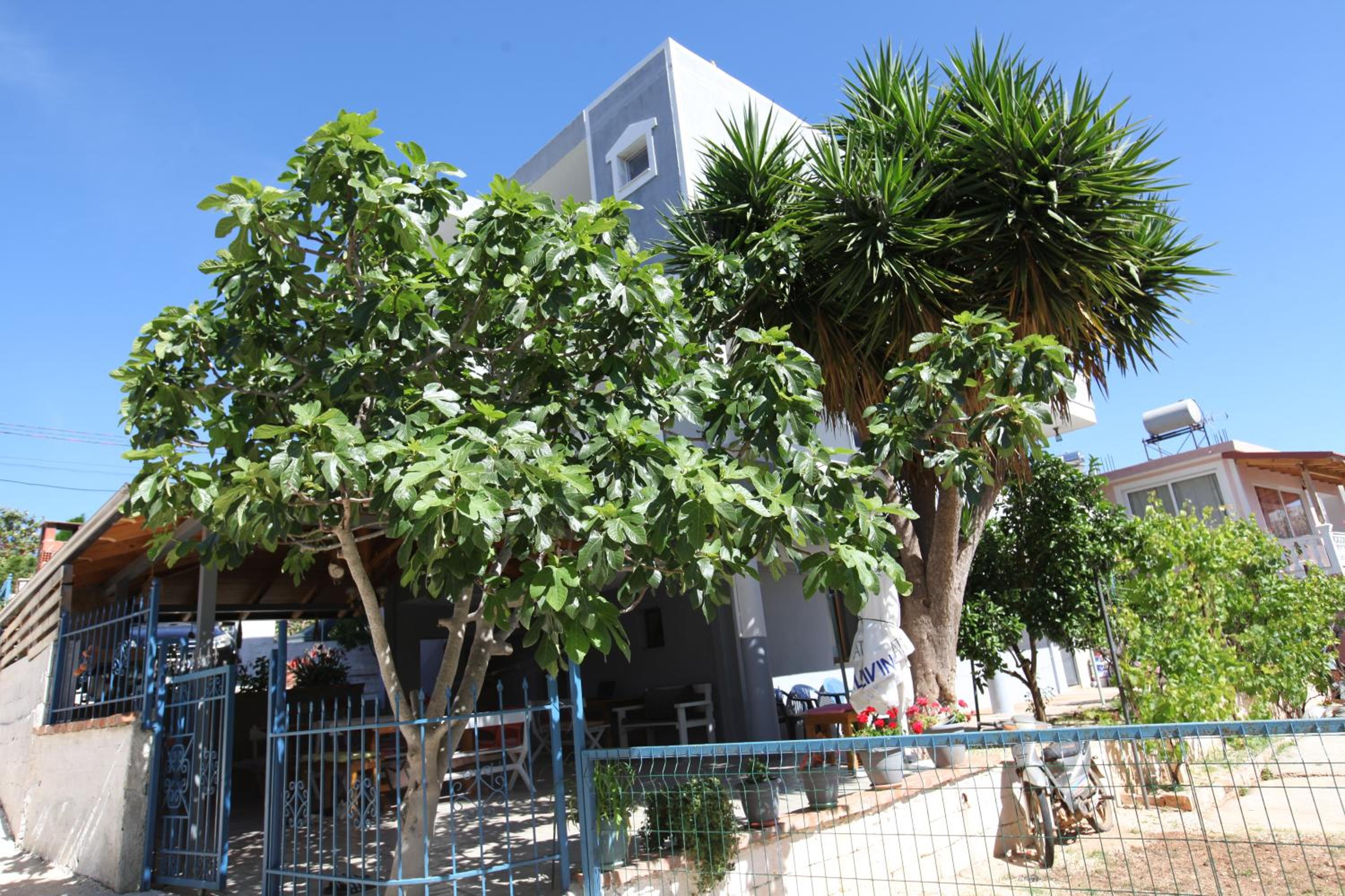Vila Enea