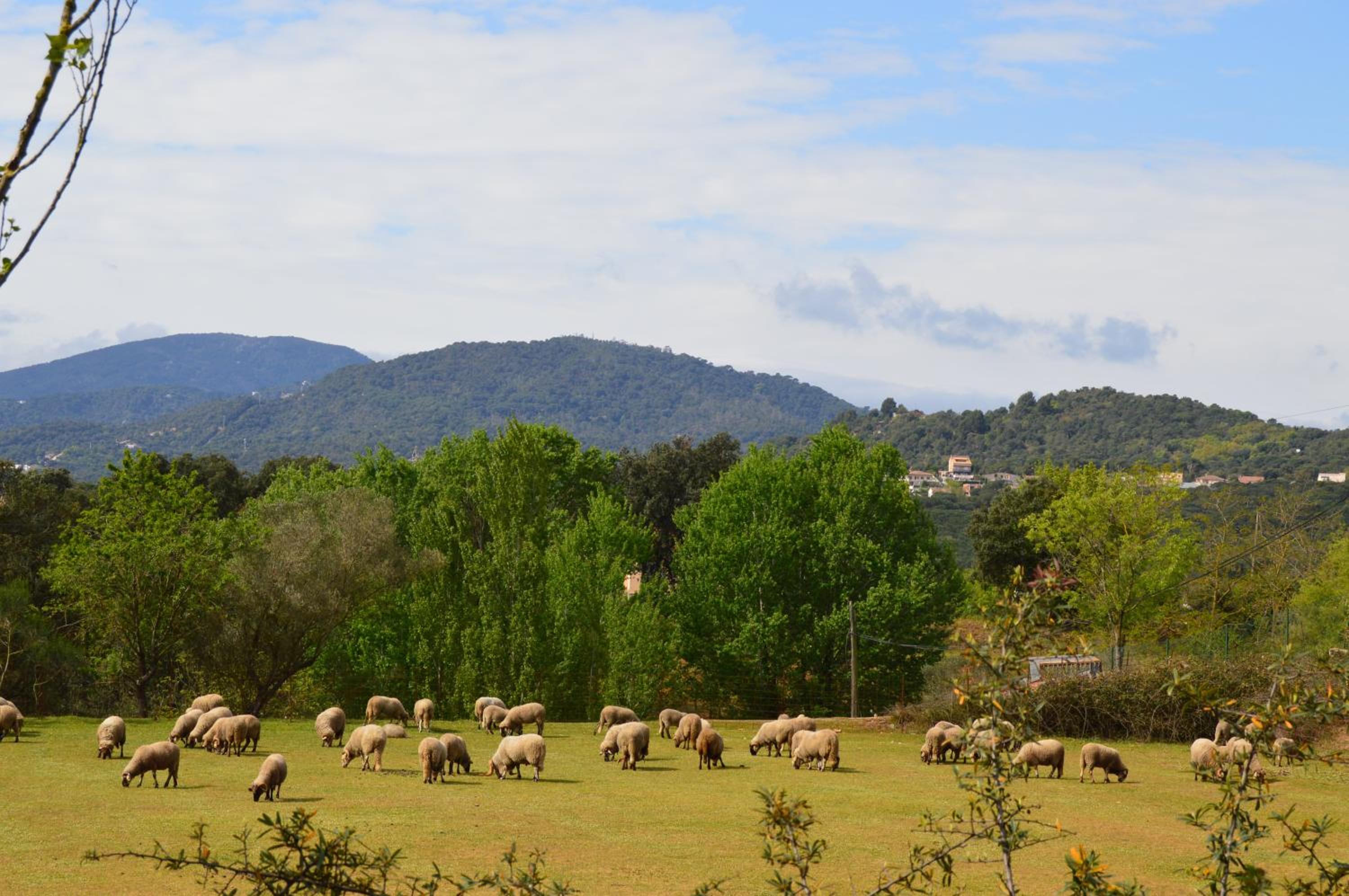 Rural Sant Llop