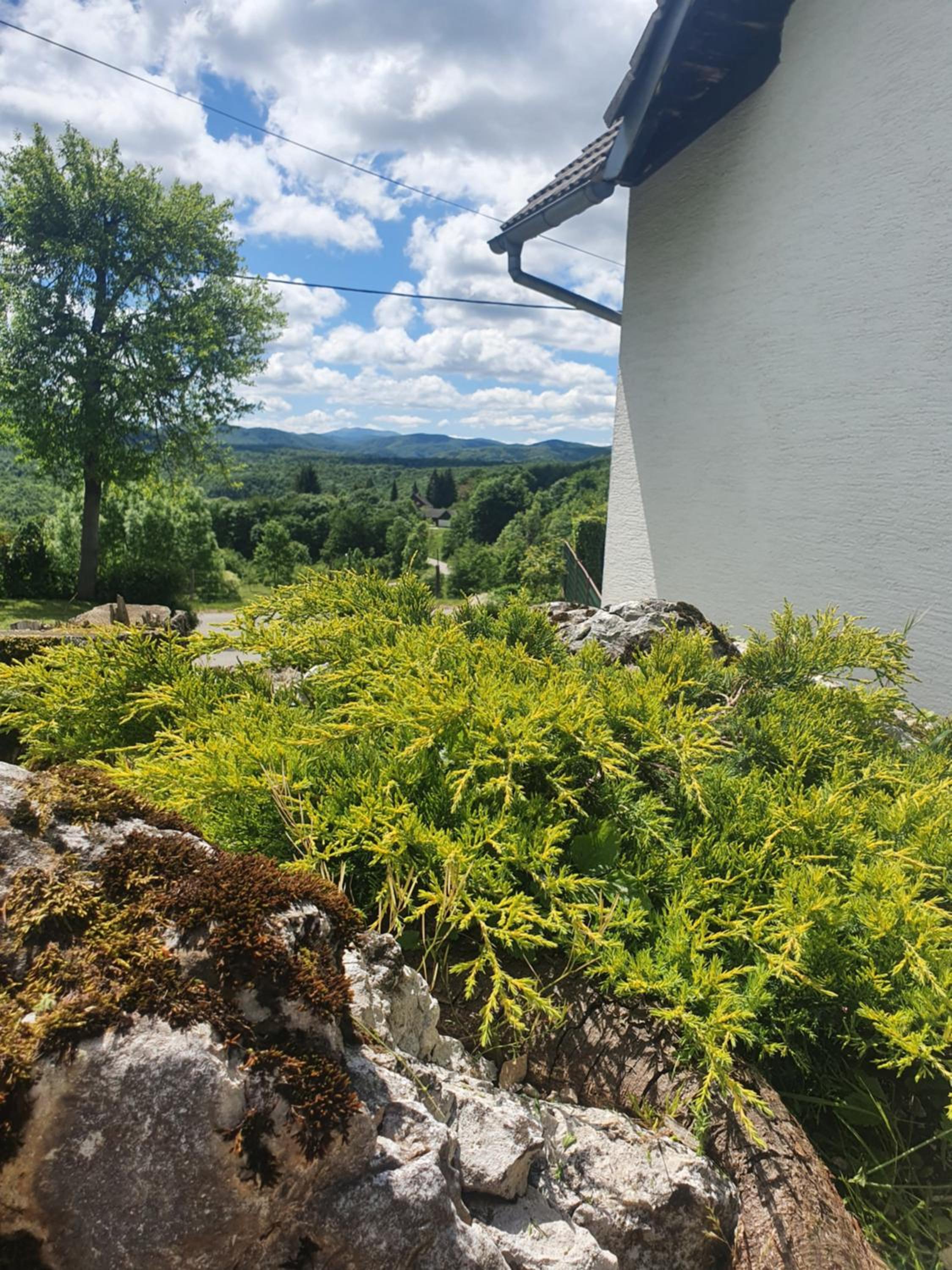 Guest House Štefanija
