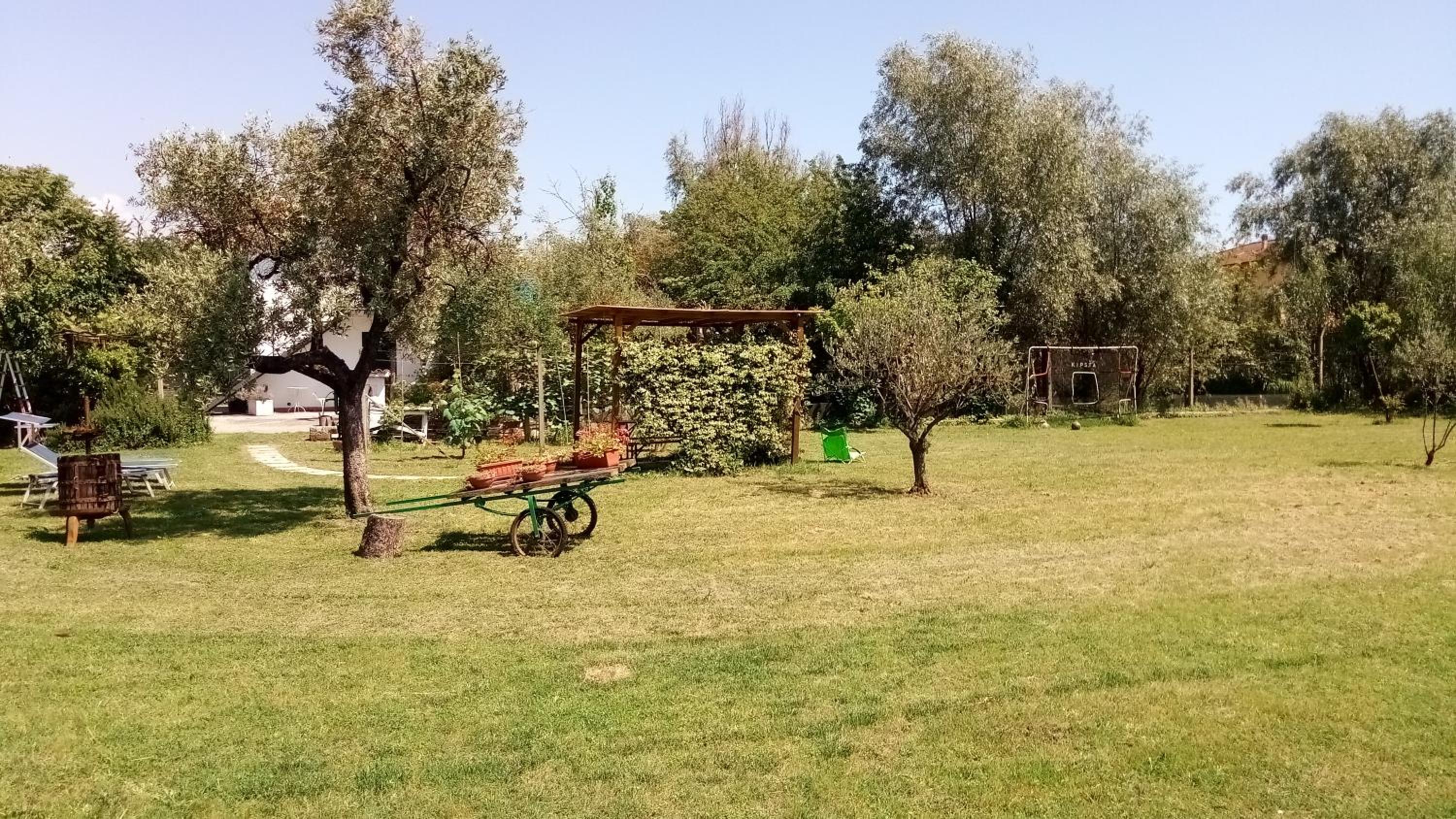 Photo 41