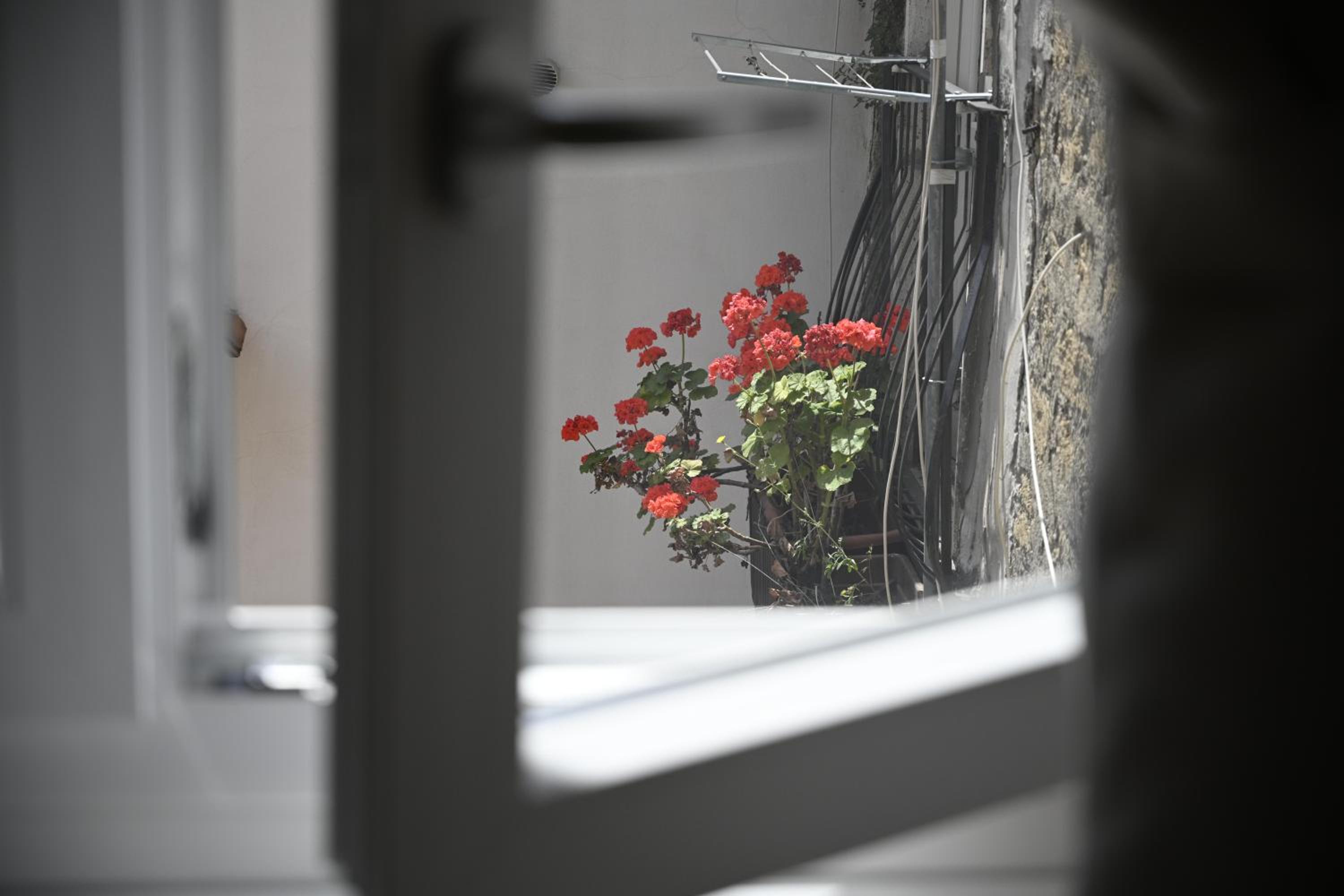 Casa Donna Francy City Center