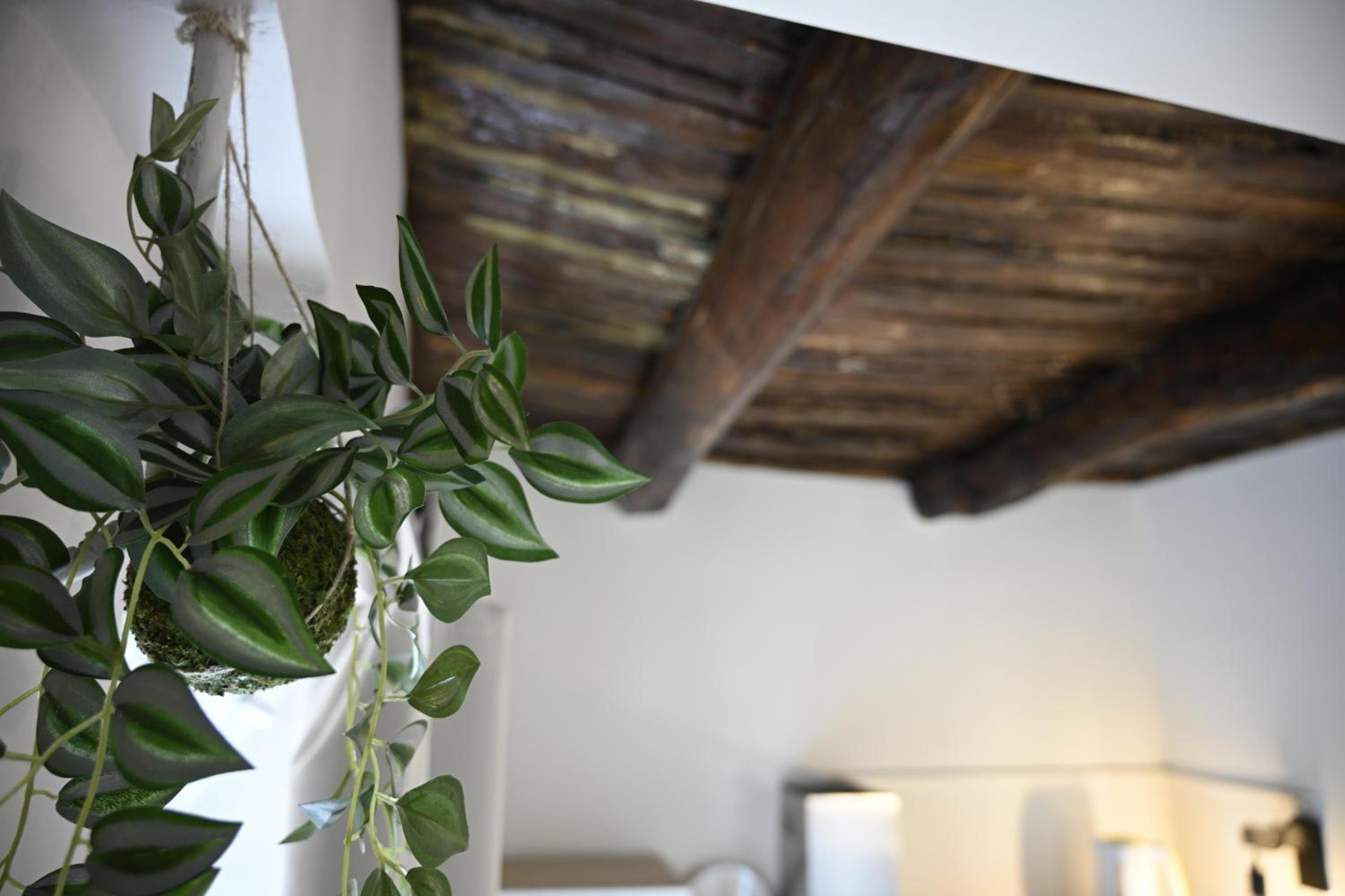 Casa Donna Francy City Center