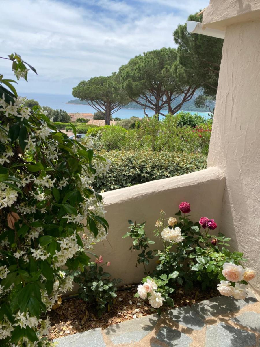 Le village de l'hacienda - Marina di santa Giulia- Porto-Vecchio view 4