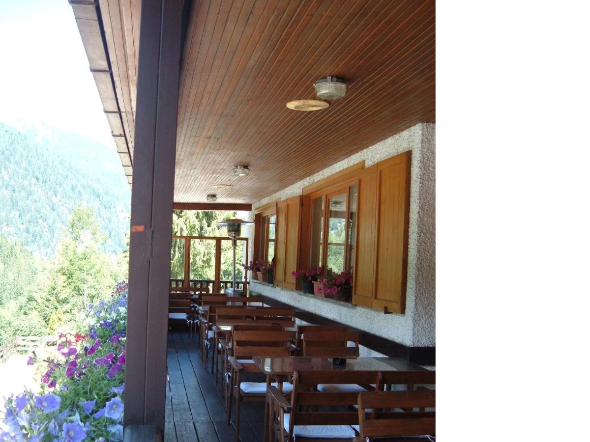 Albergo Pineta view 5
