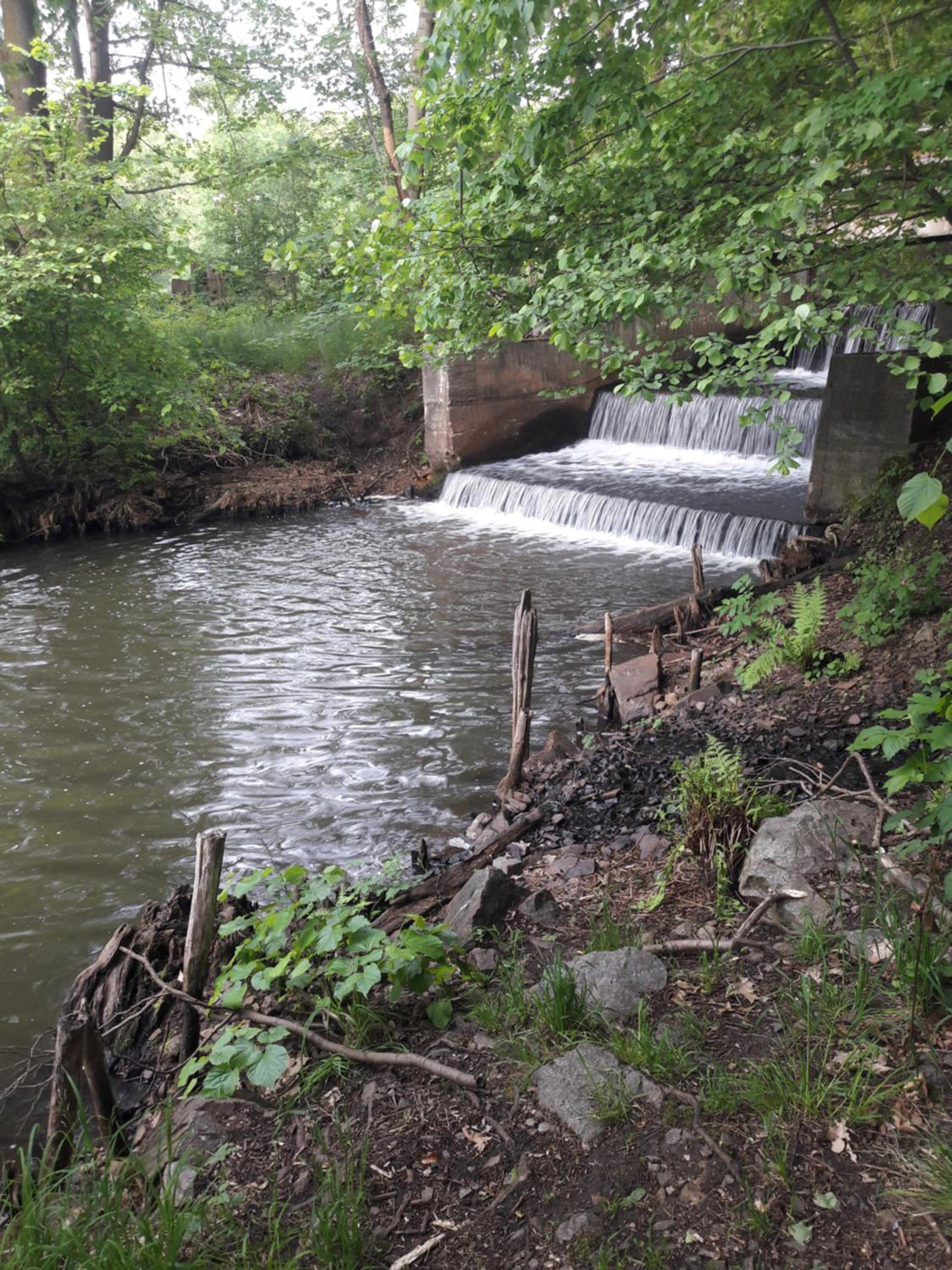 Photo 20