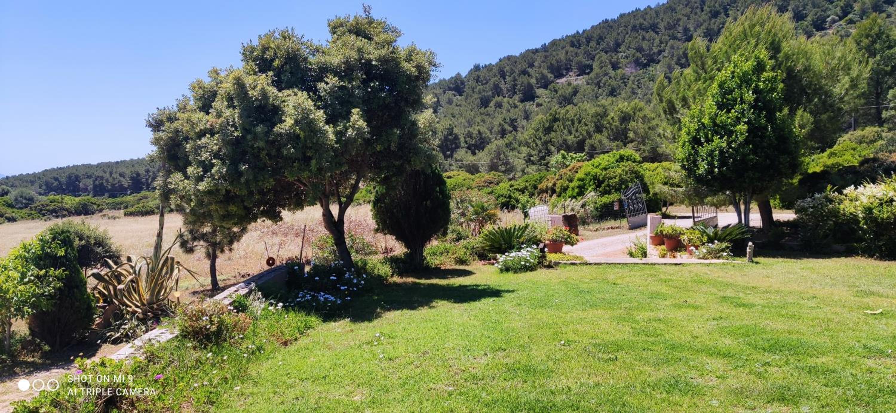 Agriturismo Arena Del Sol view 5