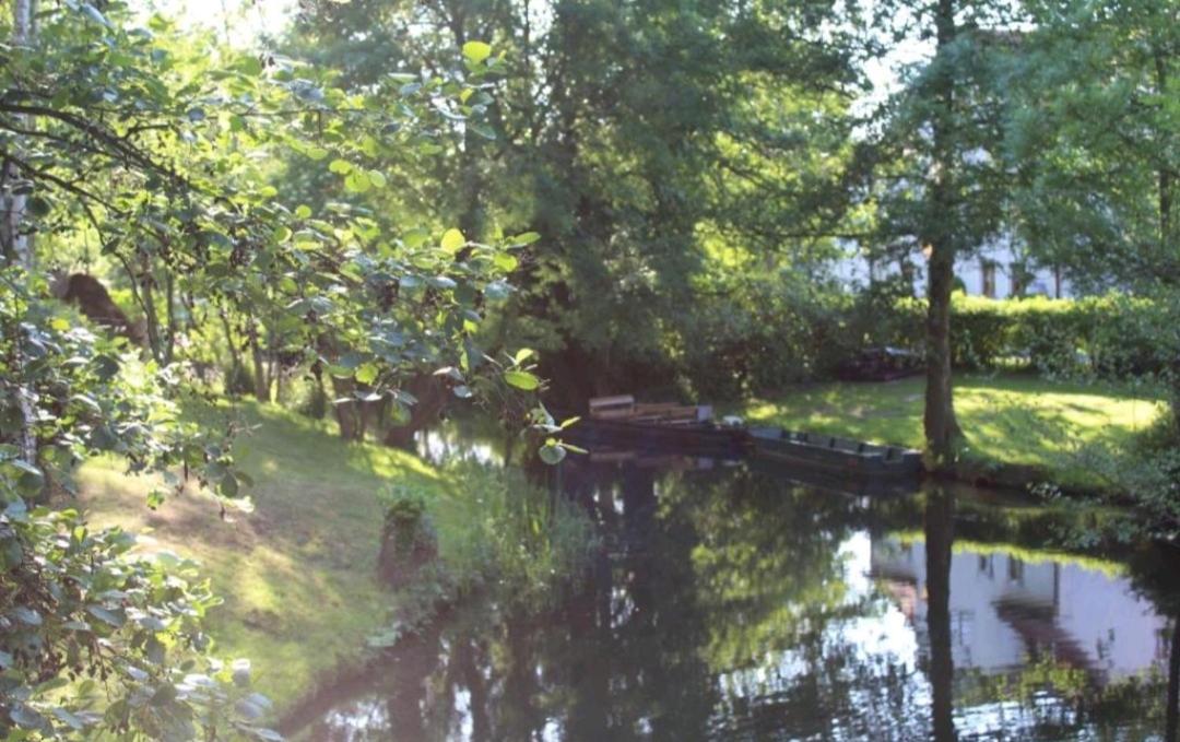 Spreewald Ferienwohnung Noack view 5
