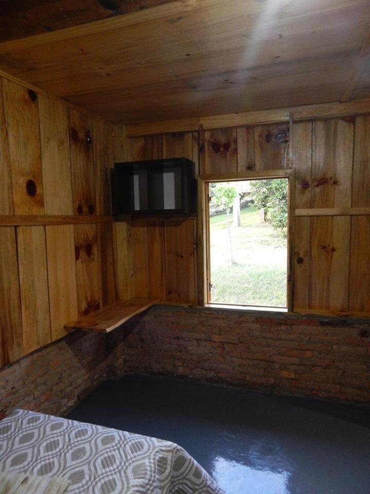 Photo 42
