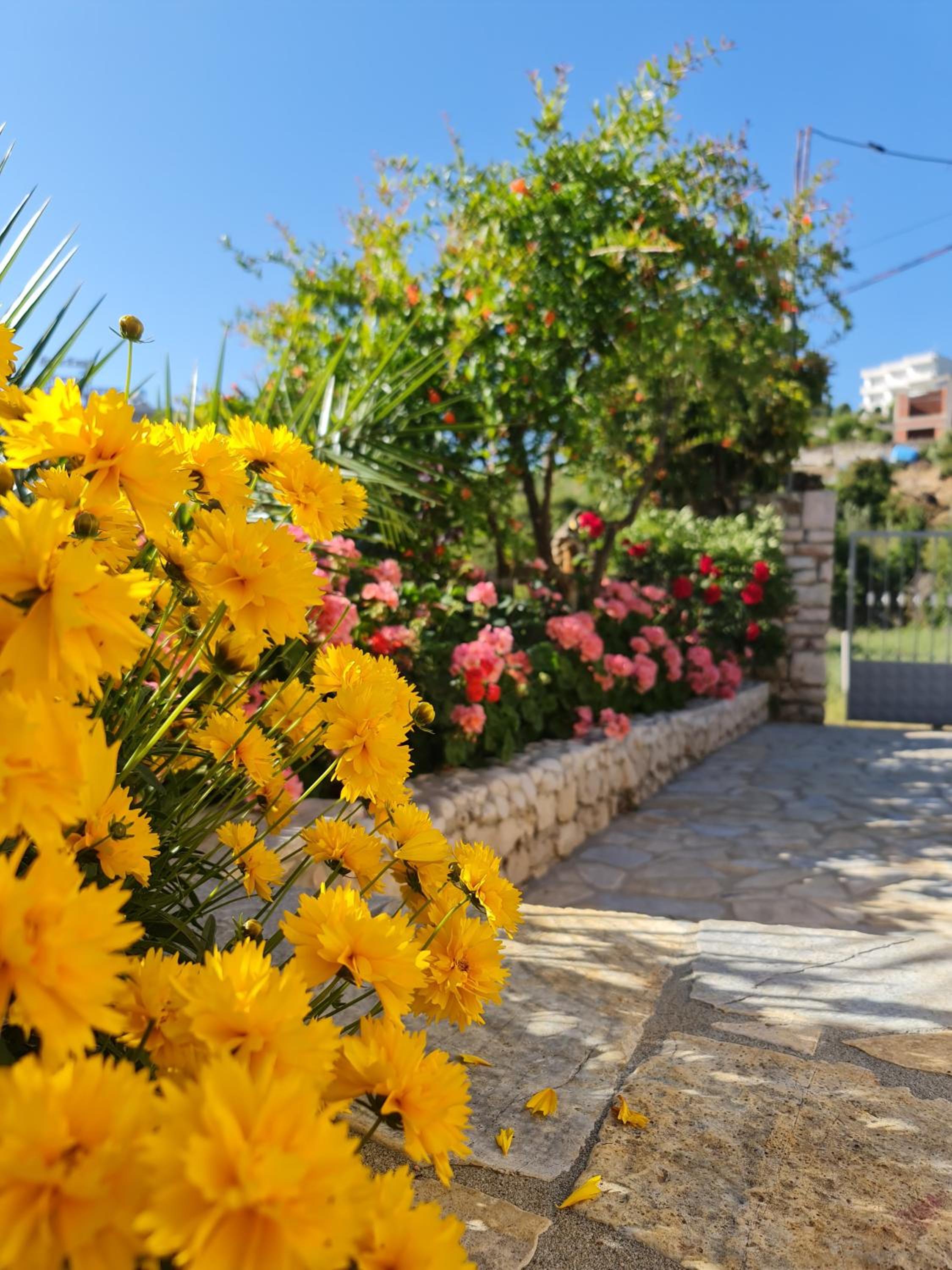 Guesthouse Redilka