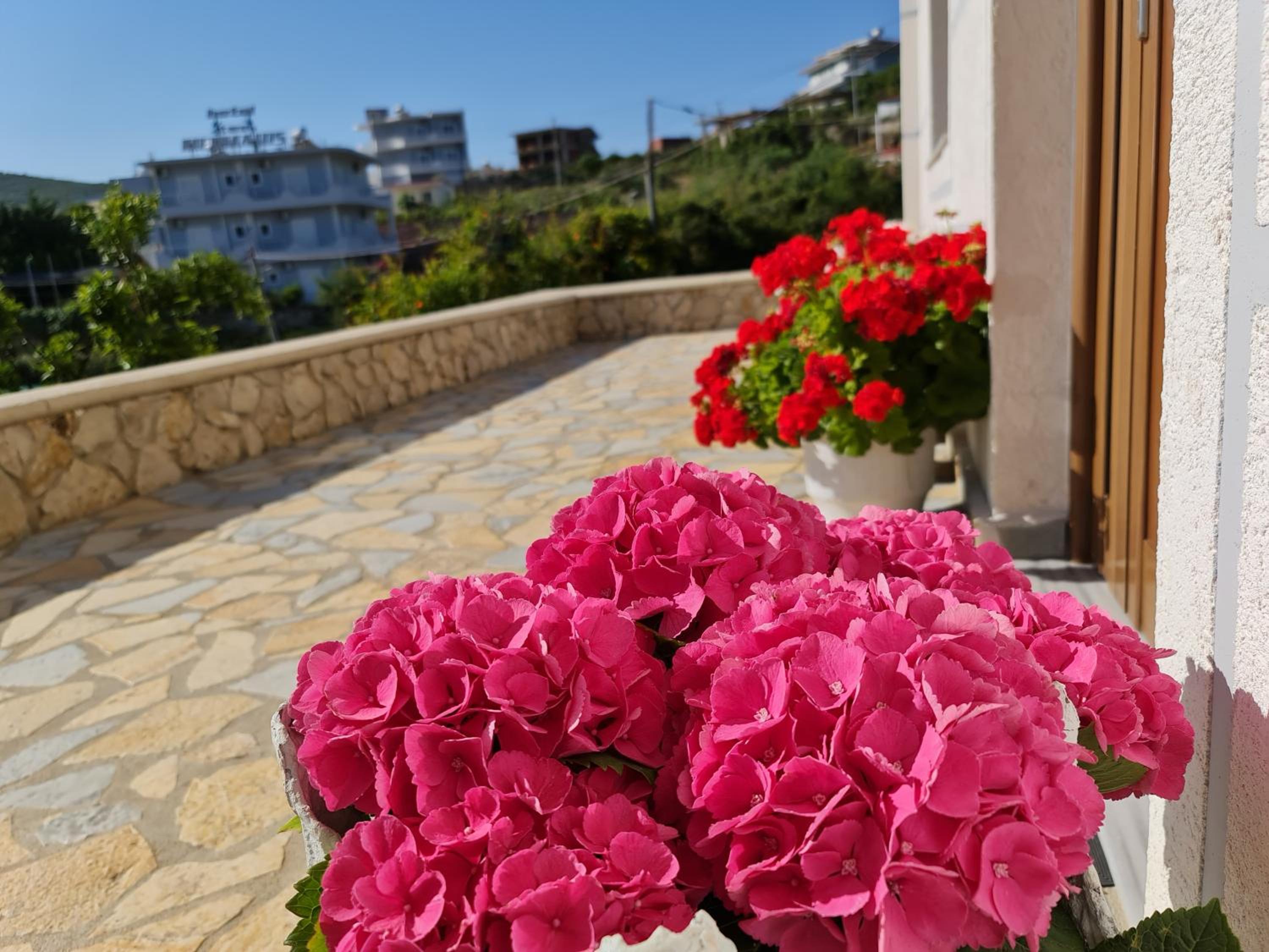 Guesthouse Redilka