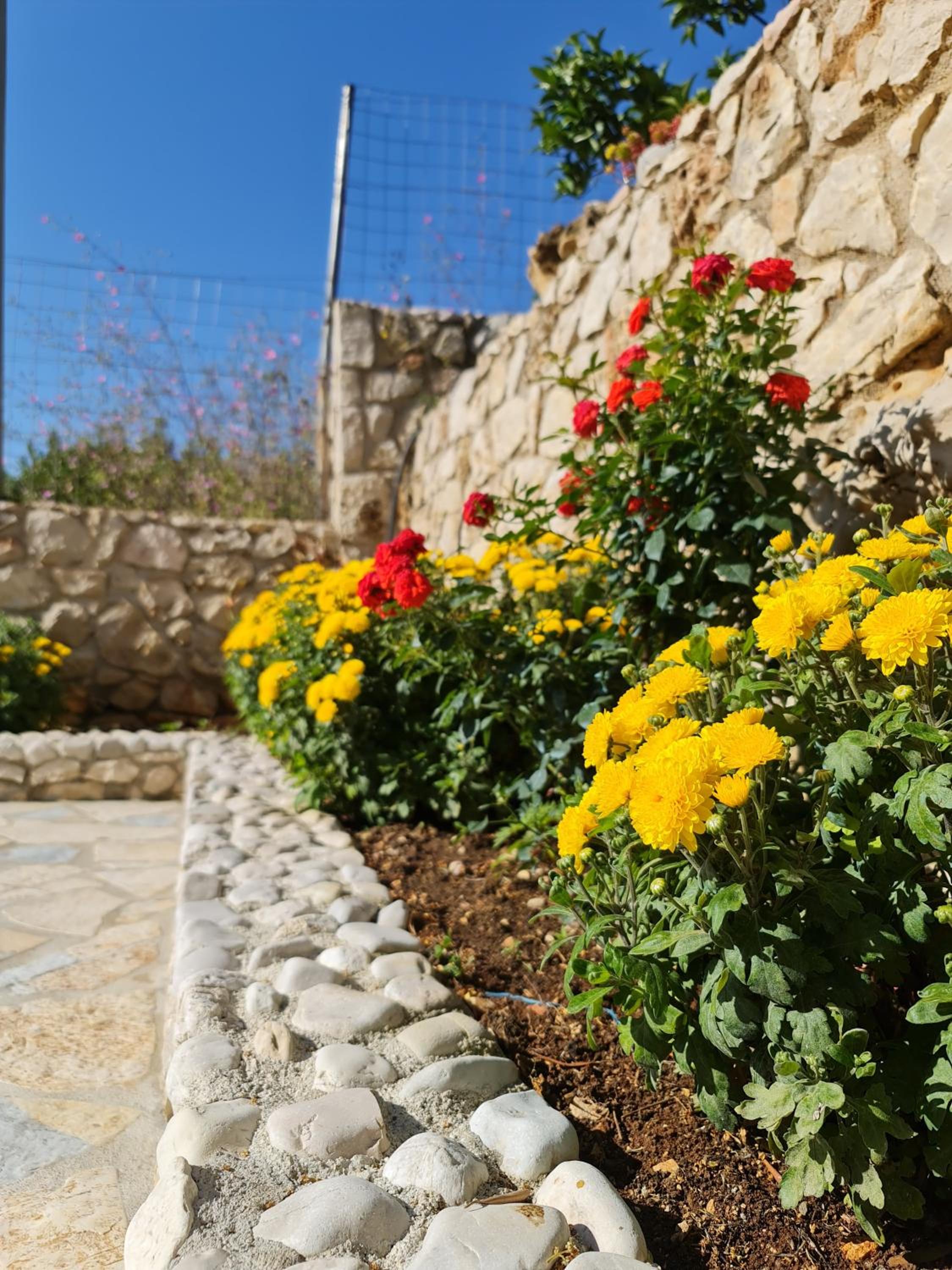 Guesthouse Redilka