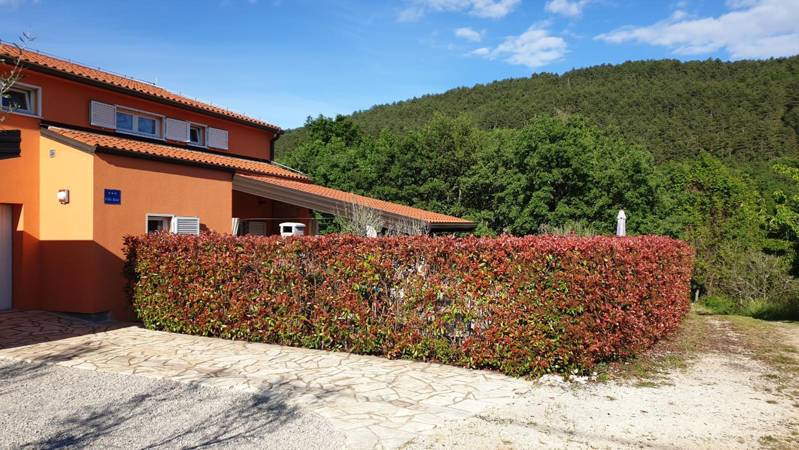 Villa Kras Rabac Labin Ripenda Pool view 5