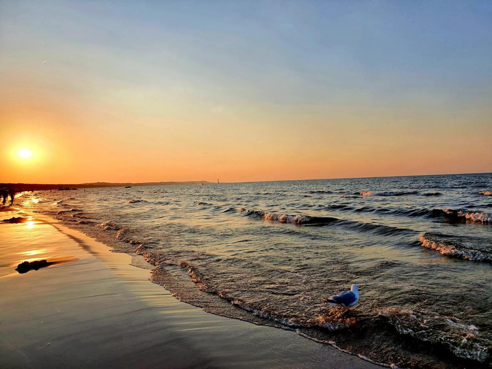 BALTIC DREAM view 5