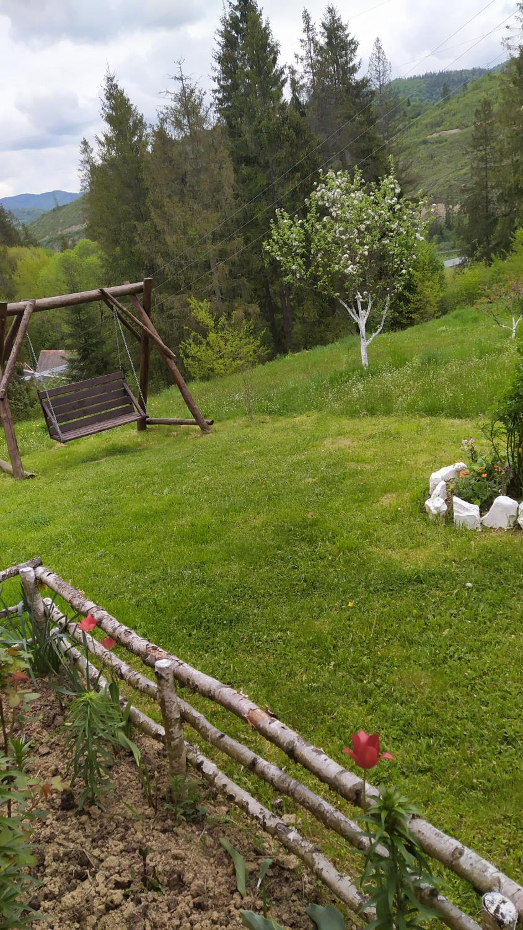 Photo 15