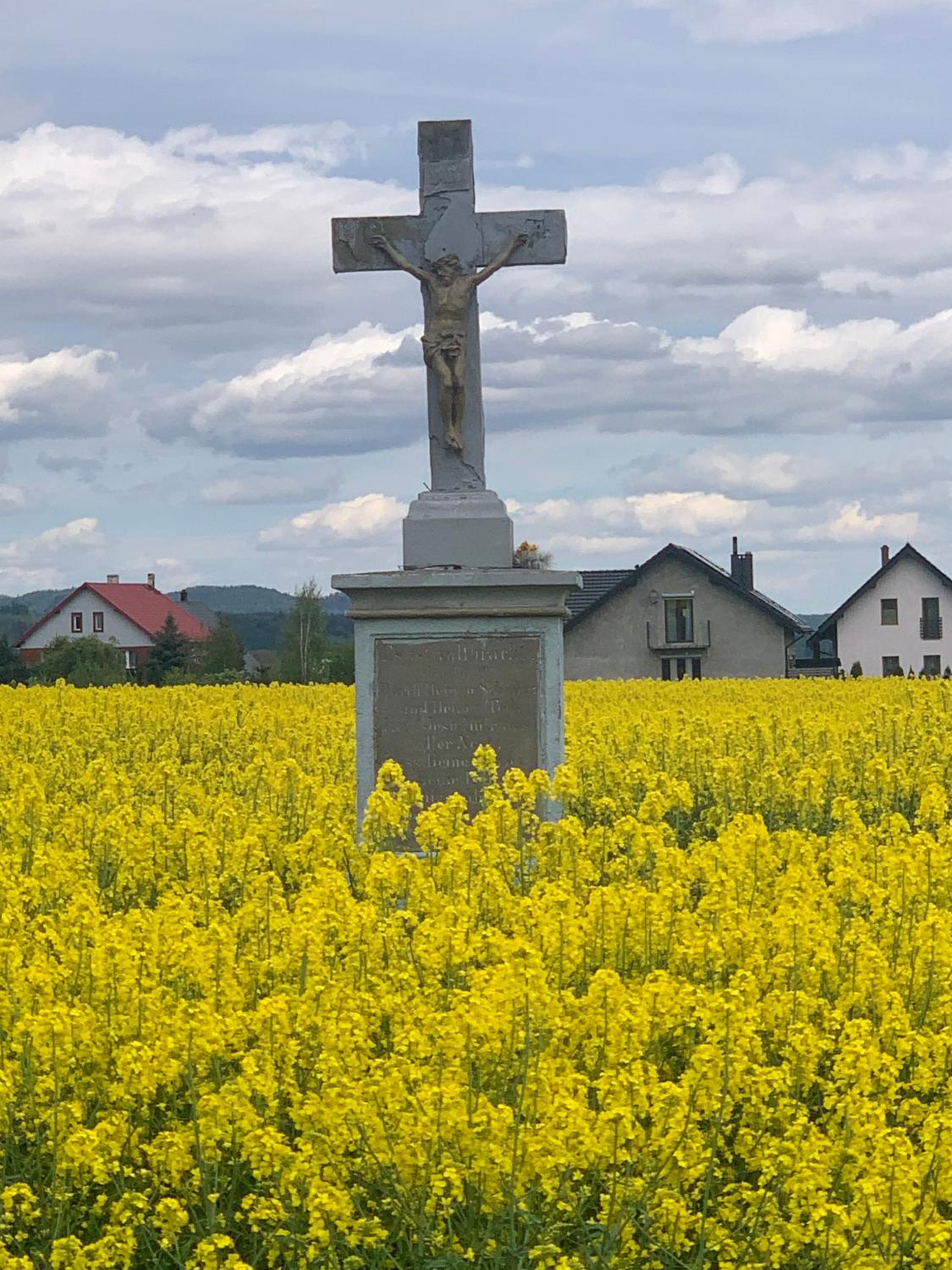 Photo 53