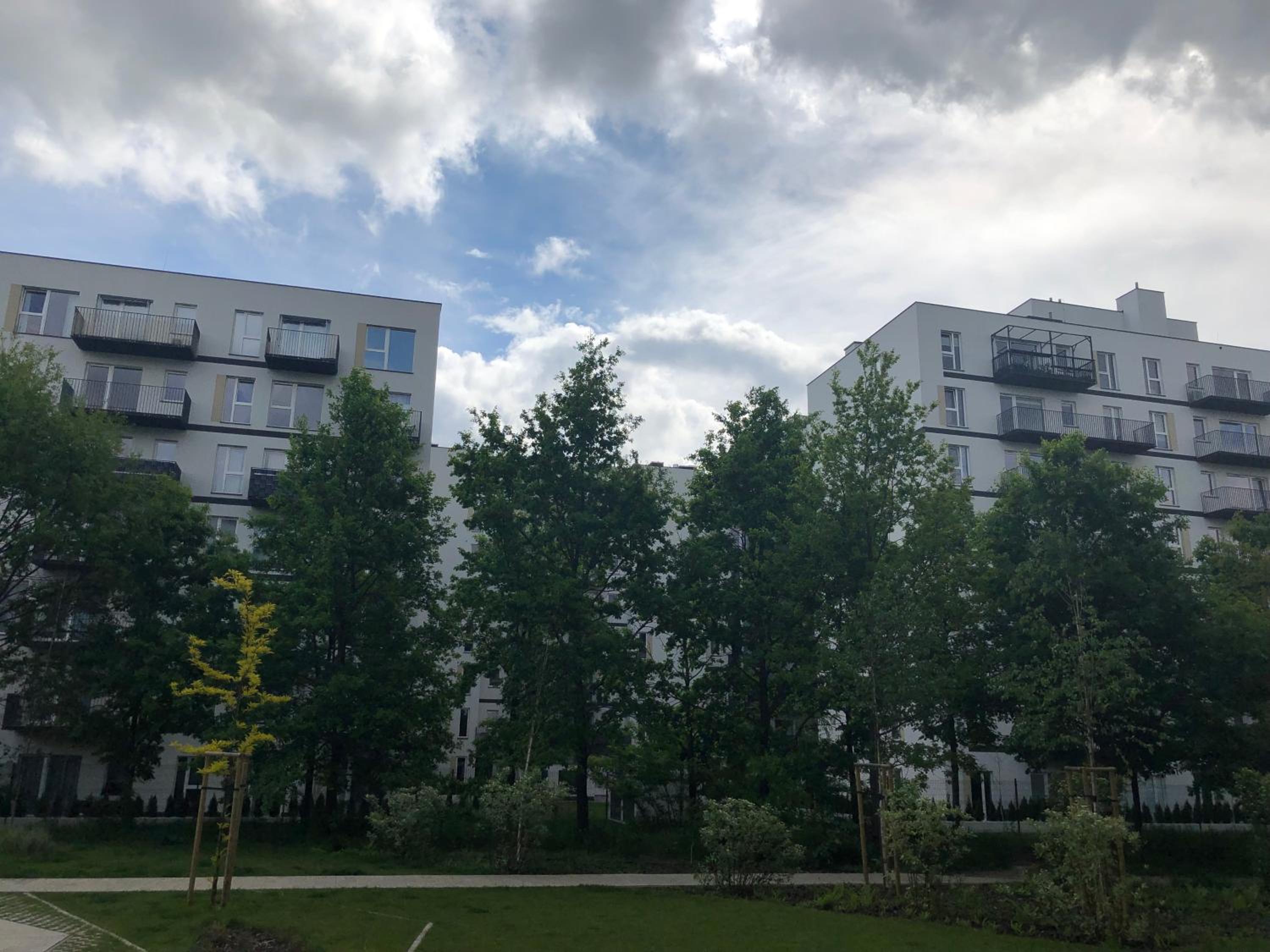 Mlociny Apartment, photo 11