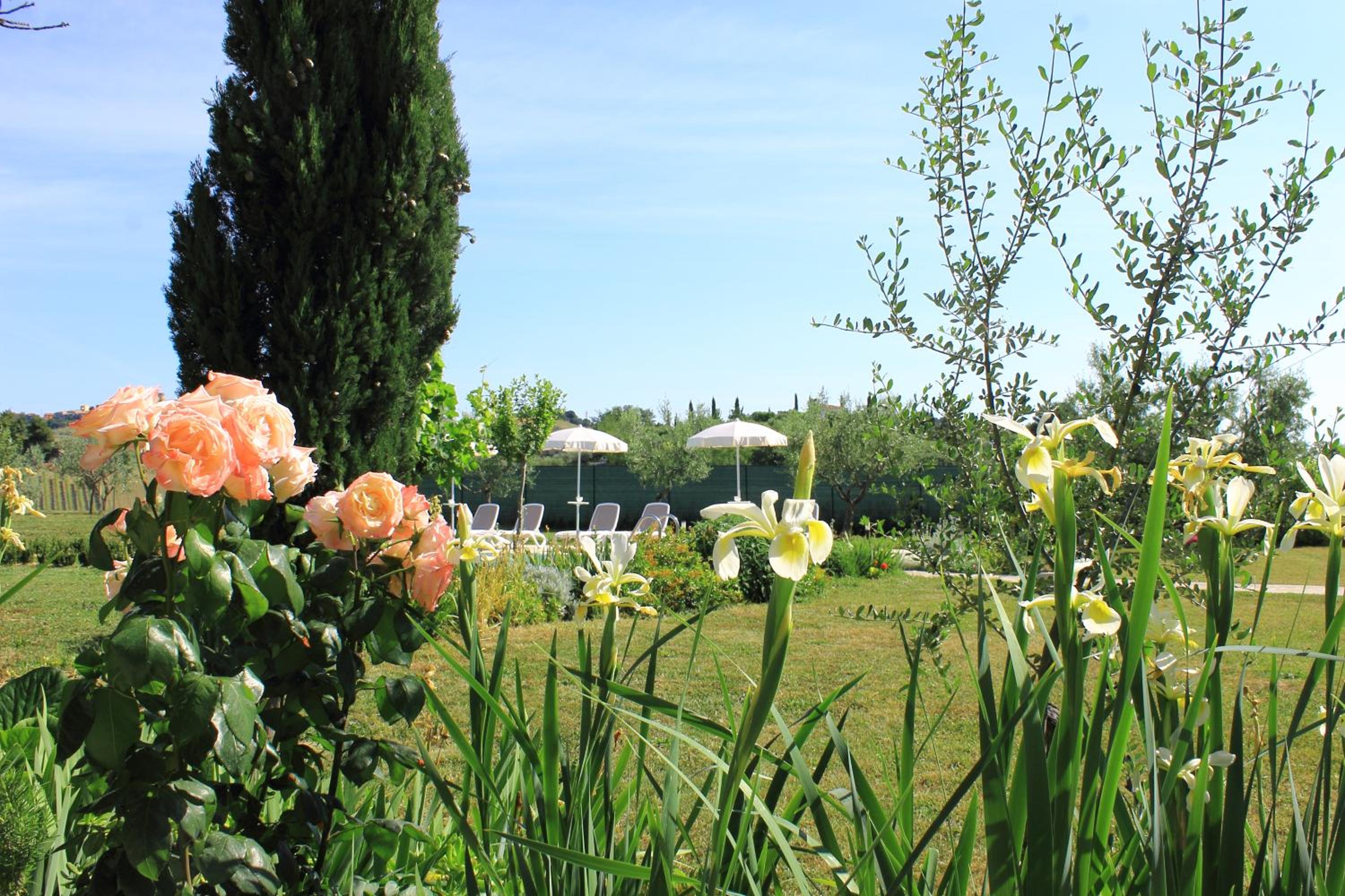 Verdemare view 3