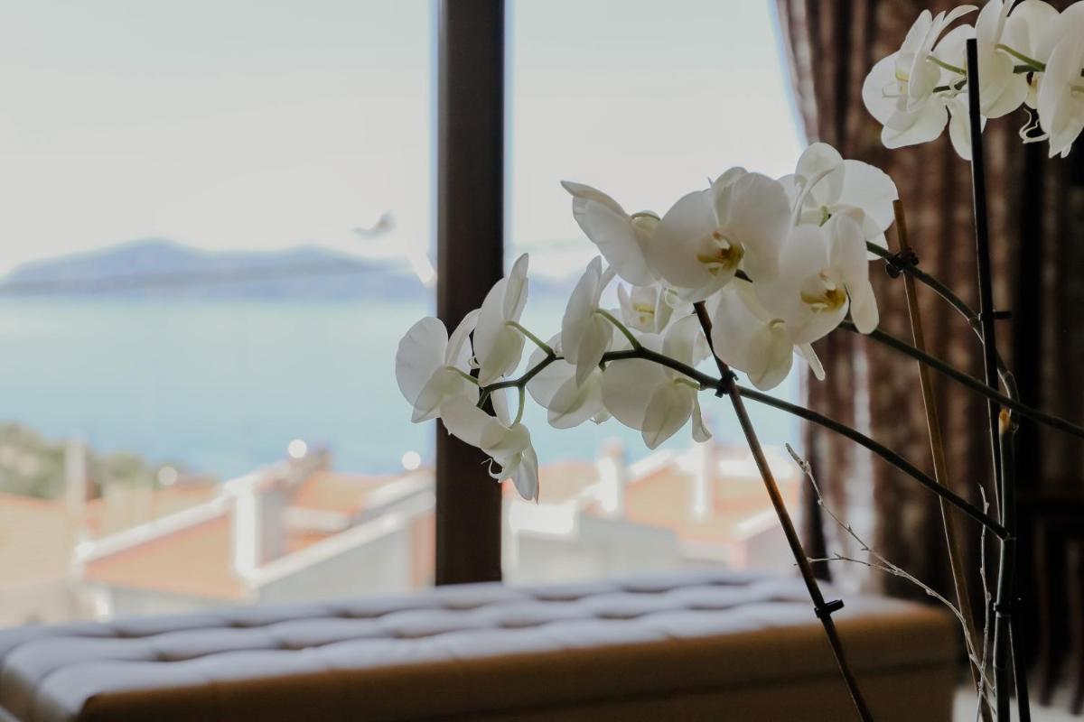 Photo 83