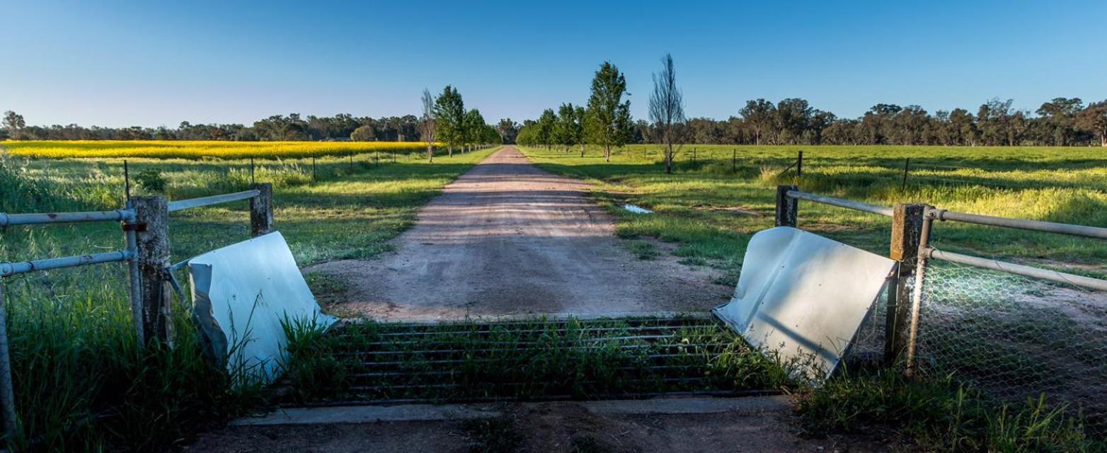 Avalon Farm Stay