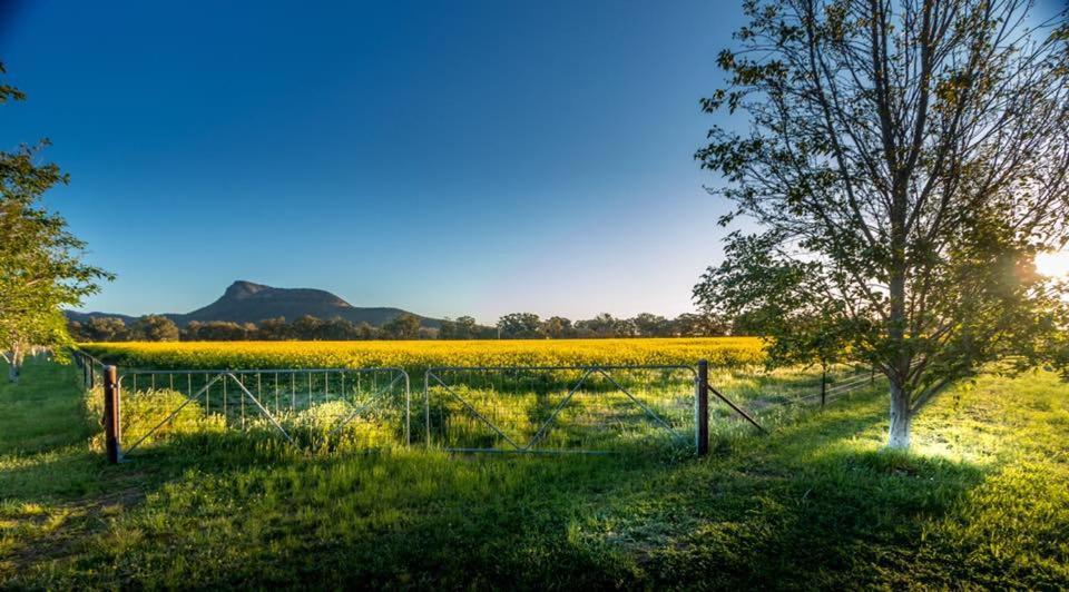 Avalon Farm Stay